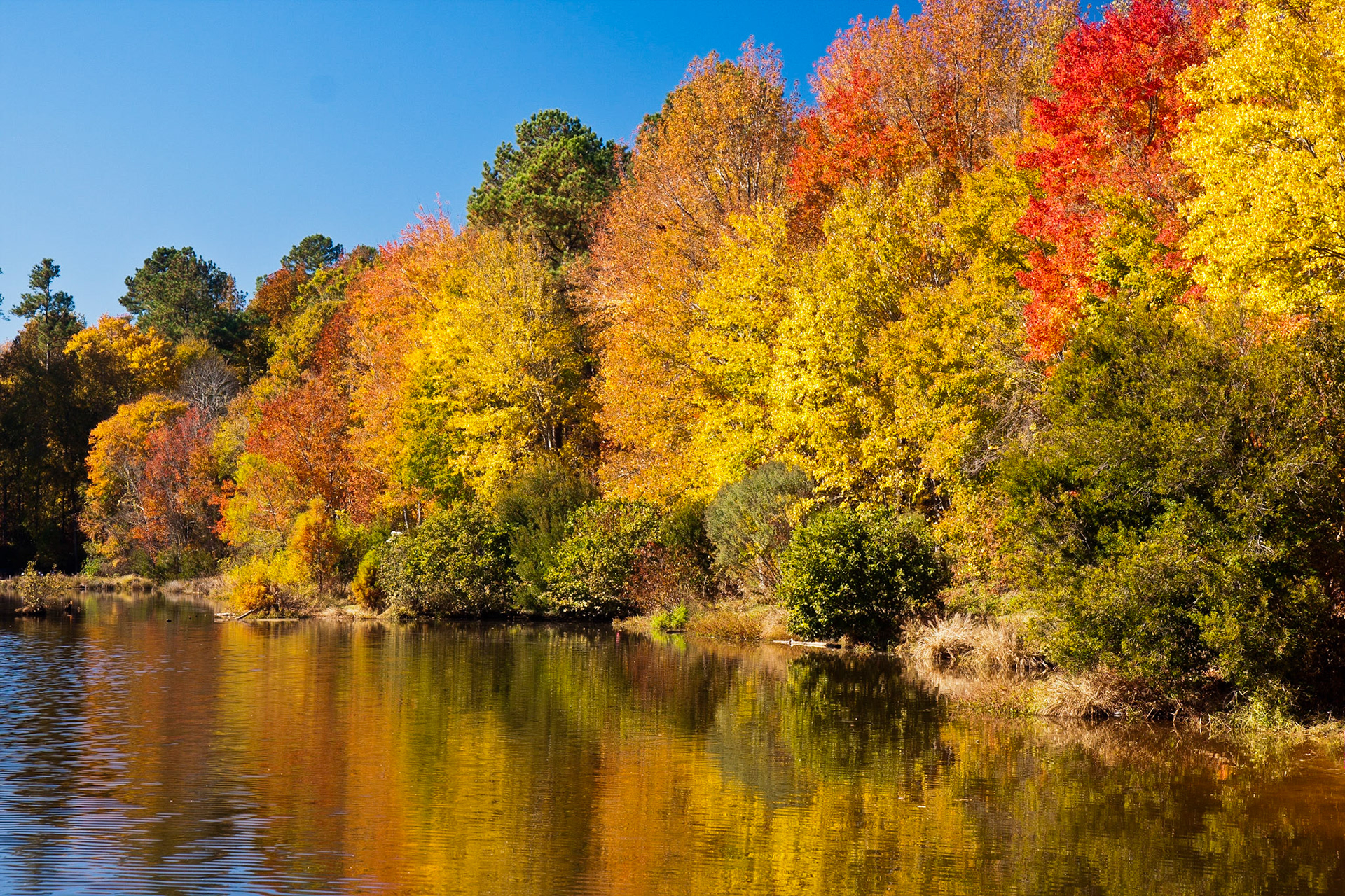 Holly Springs, North Carolina