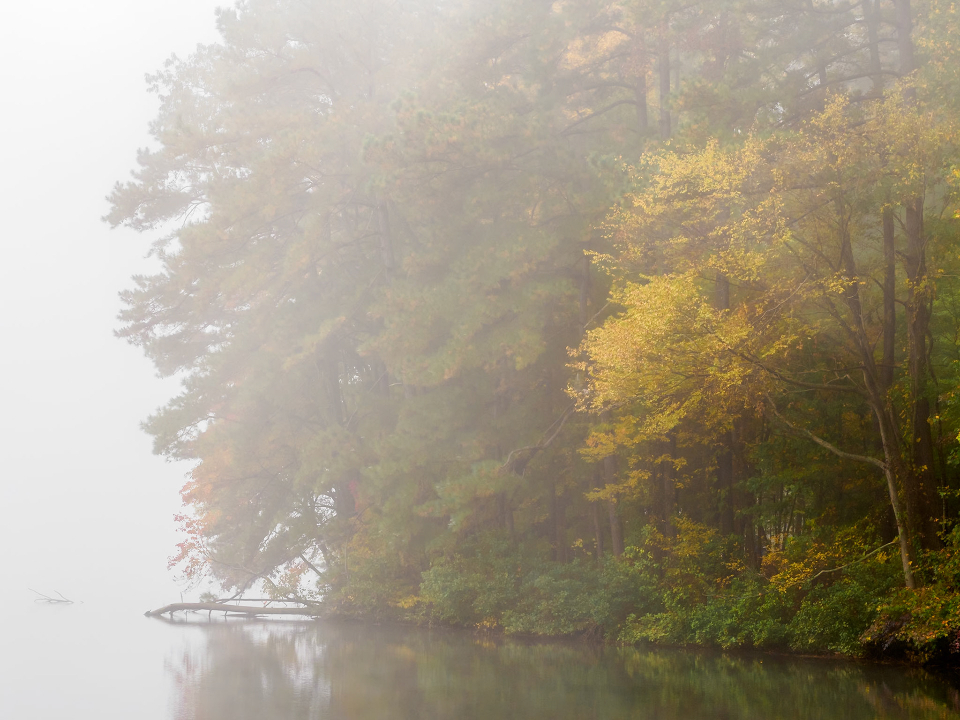 Lake Johnson, Raleigh, NC