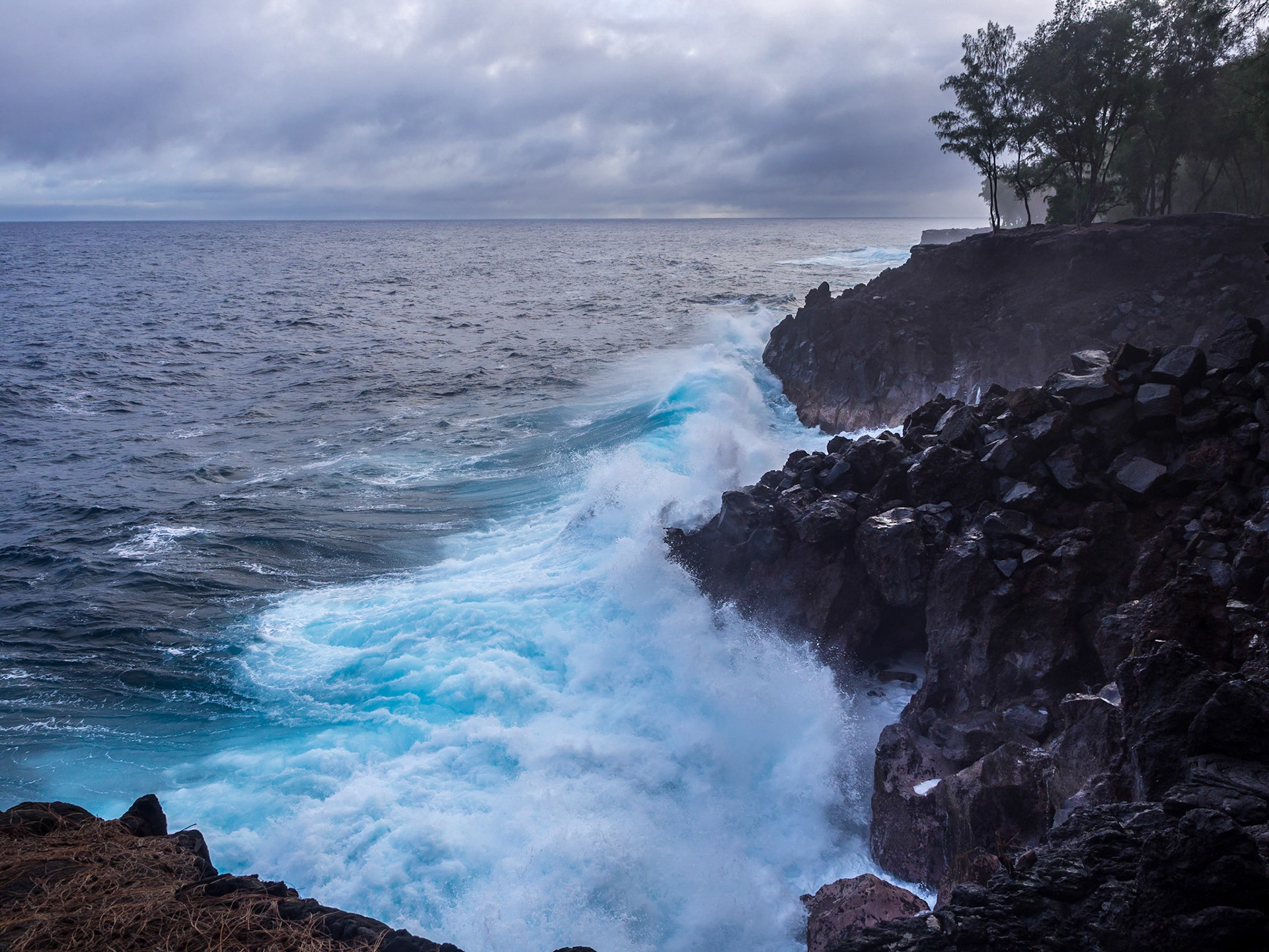 MacKenzie State Recreation Area, Big Island, Hawaii