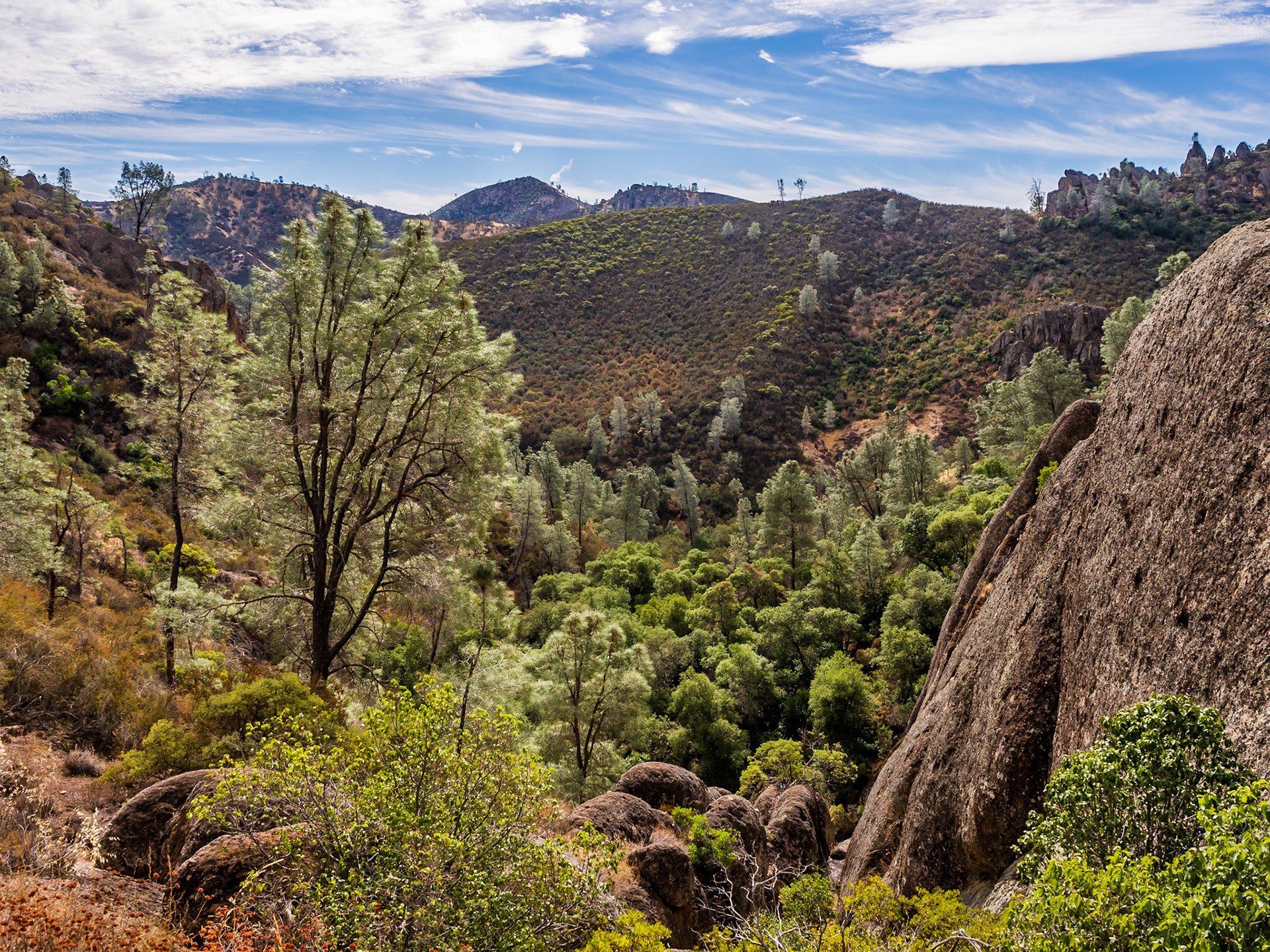 Pinnacles National Park, California