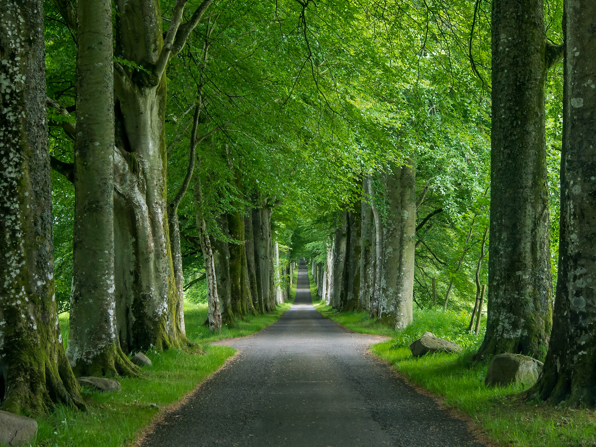 Drummond Castle Gardens, Scotland