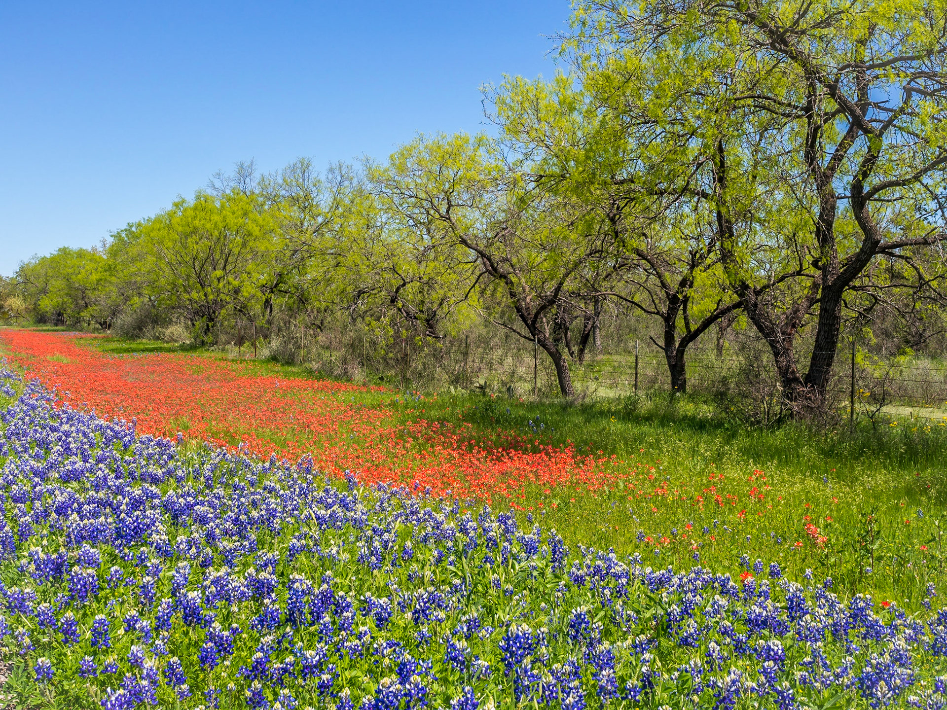 near Castell, Texas