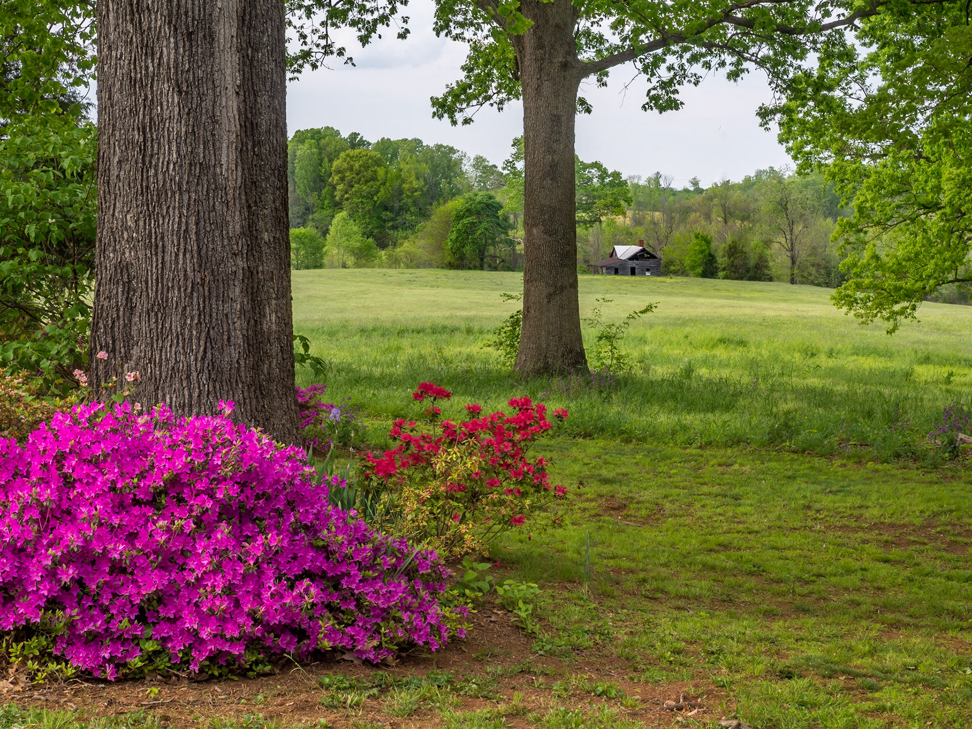 Chase City, Virginia