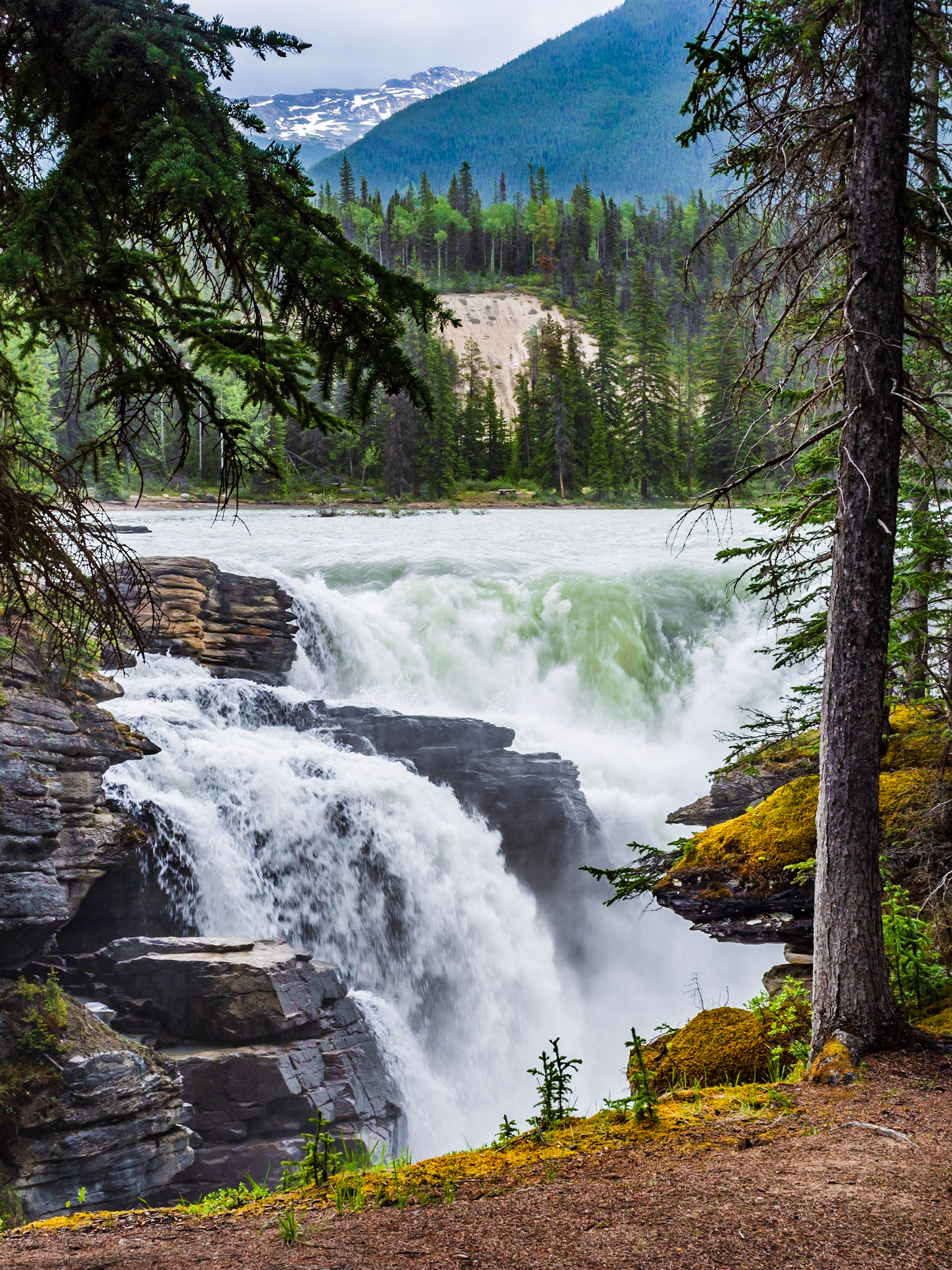 Jasper National Park, Alberta, Canada