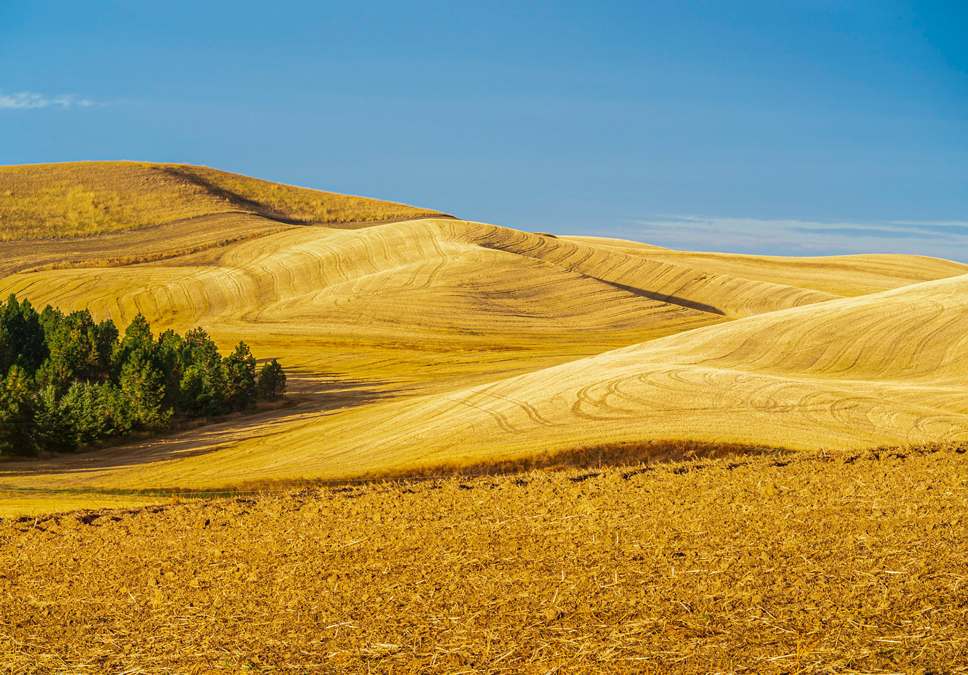 Steptoe, Washington
