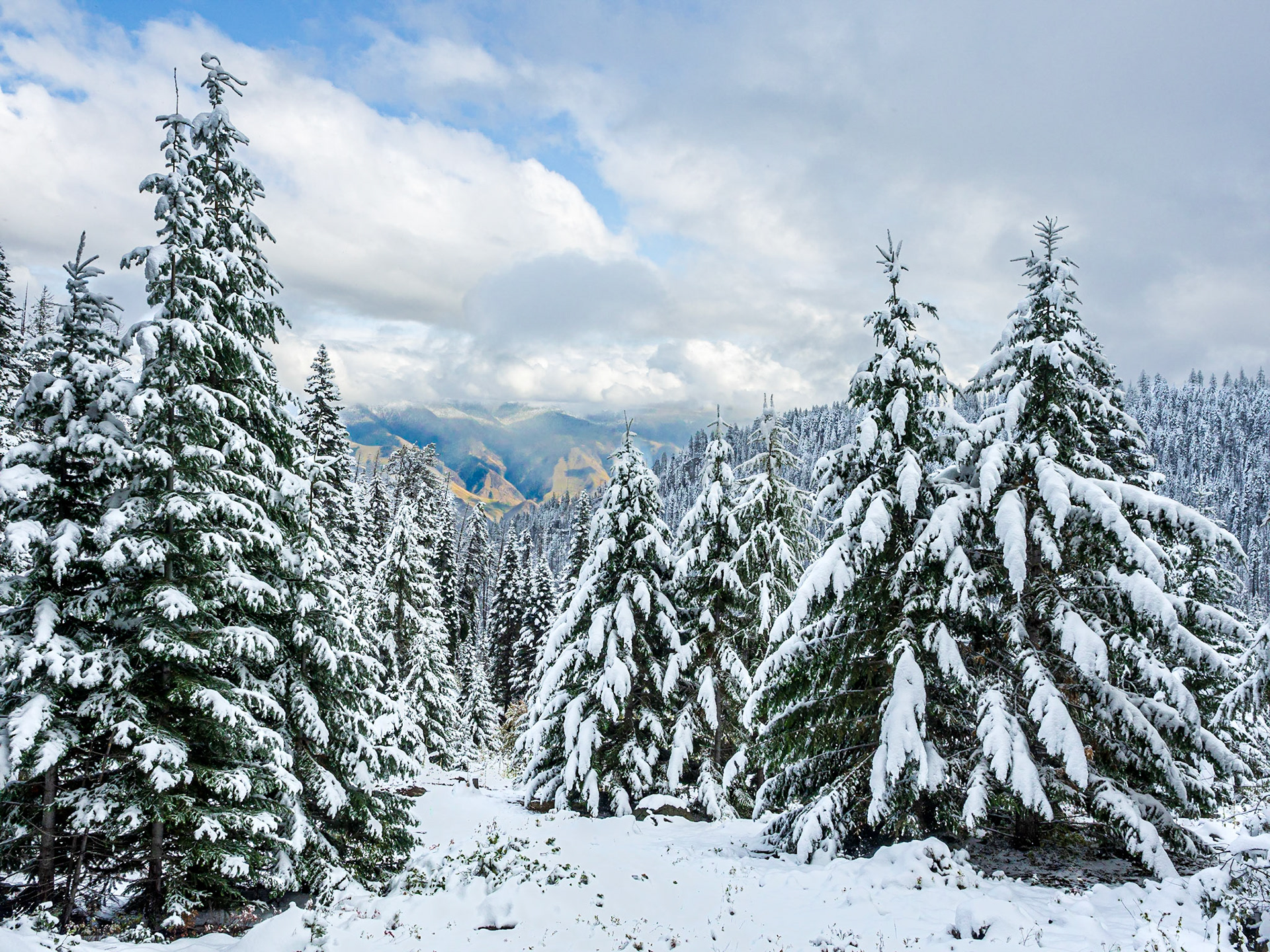 Near Heaven's Gate, Riggins, Idaho