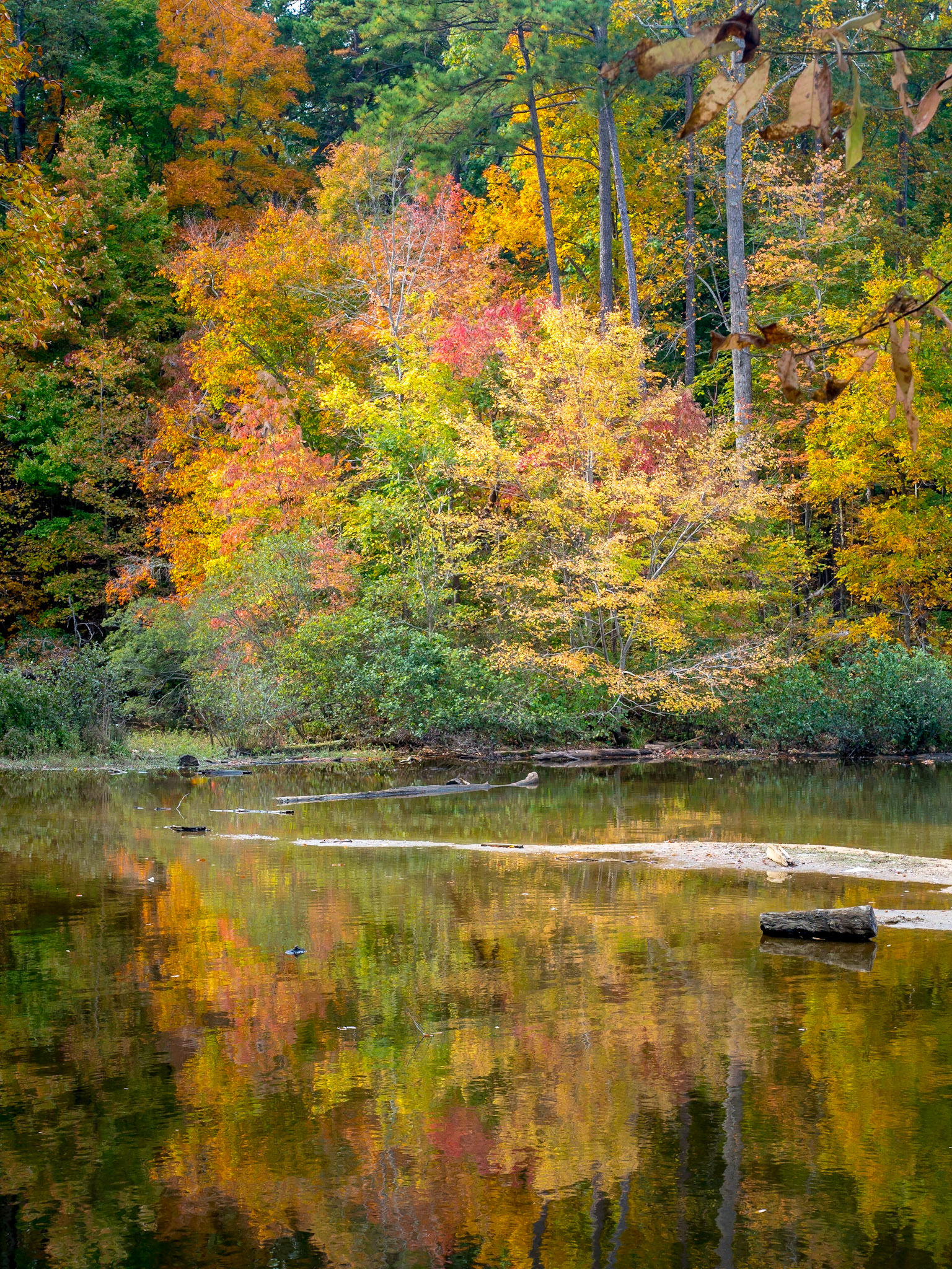 Lake Johnson, Raleigh