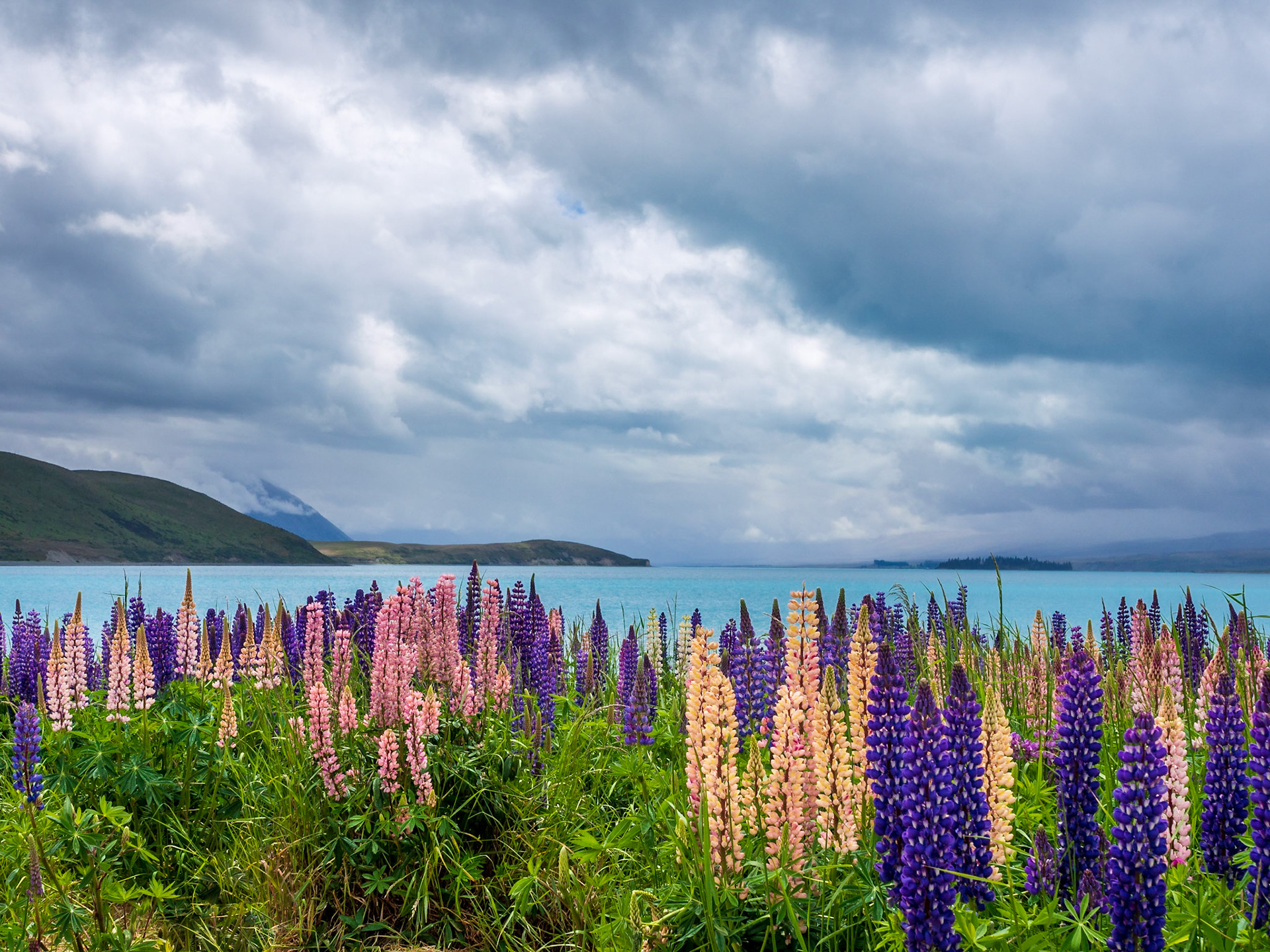 Lake Tekapo, New Zealand