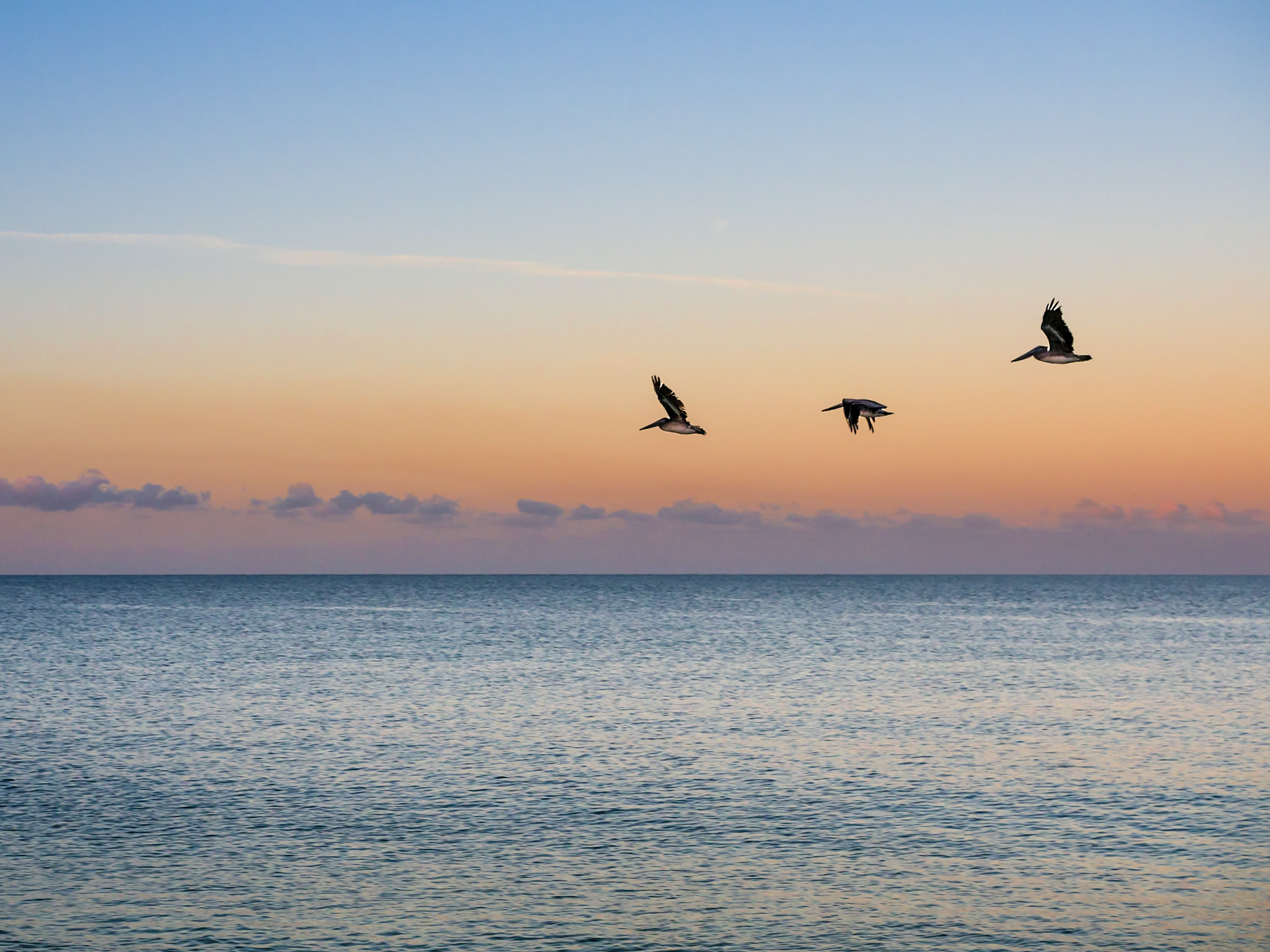 Saint Pete Beach, Florida