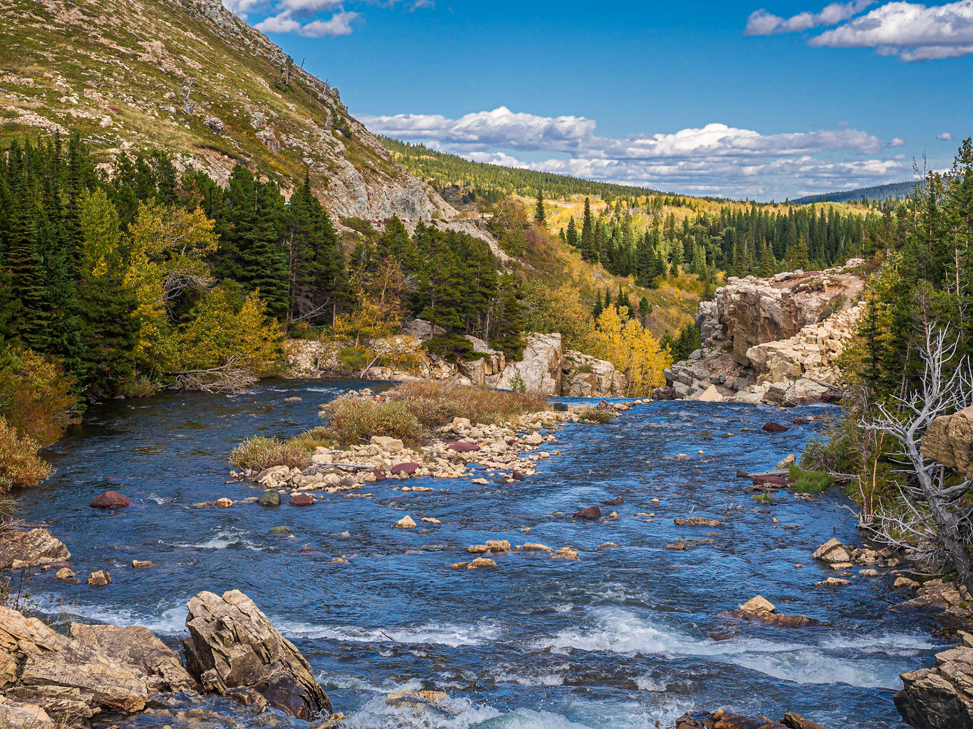 Looking back over Swiftcurrent Falls