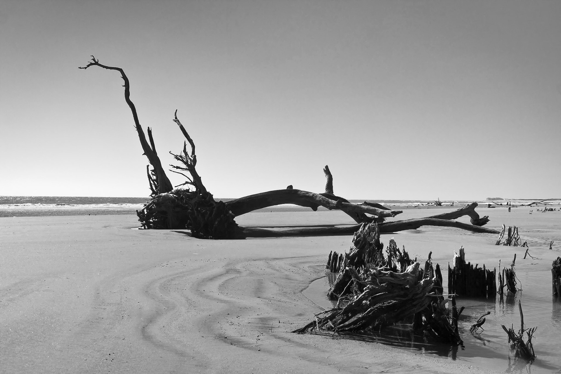 Capers Island, South Carolina