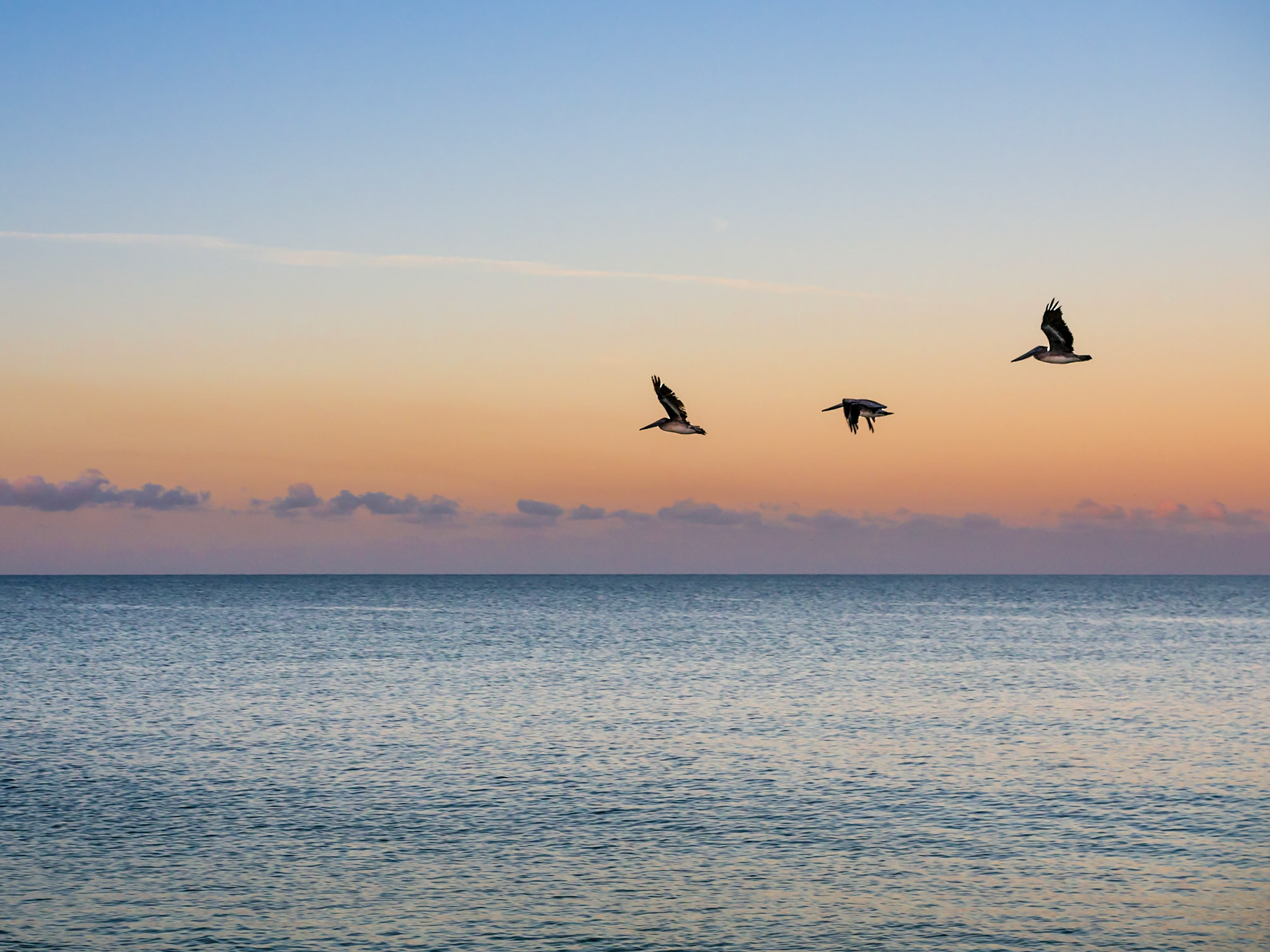 Saint Pete Beach, Florida