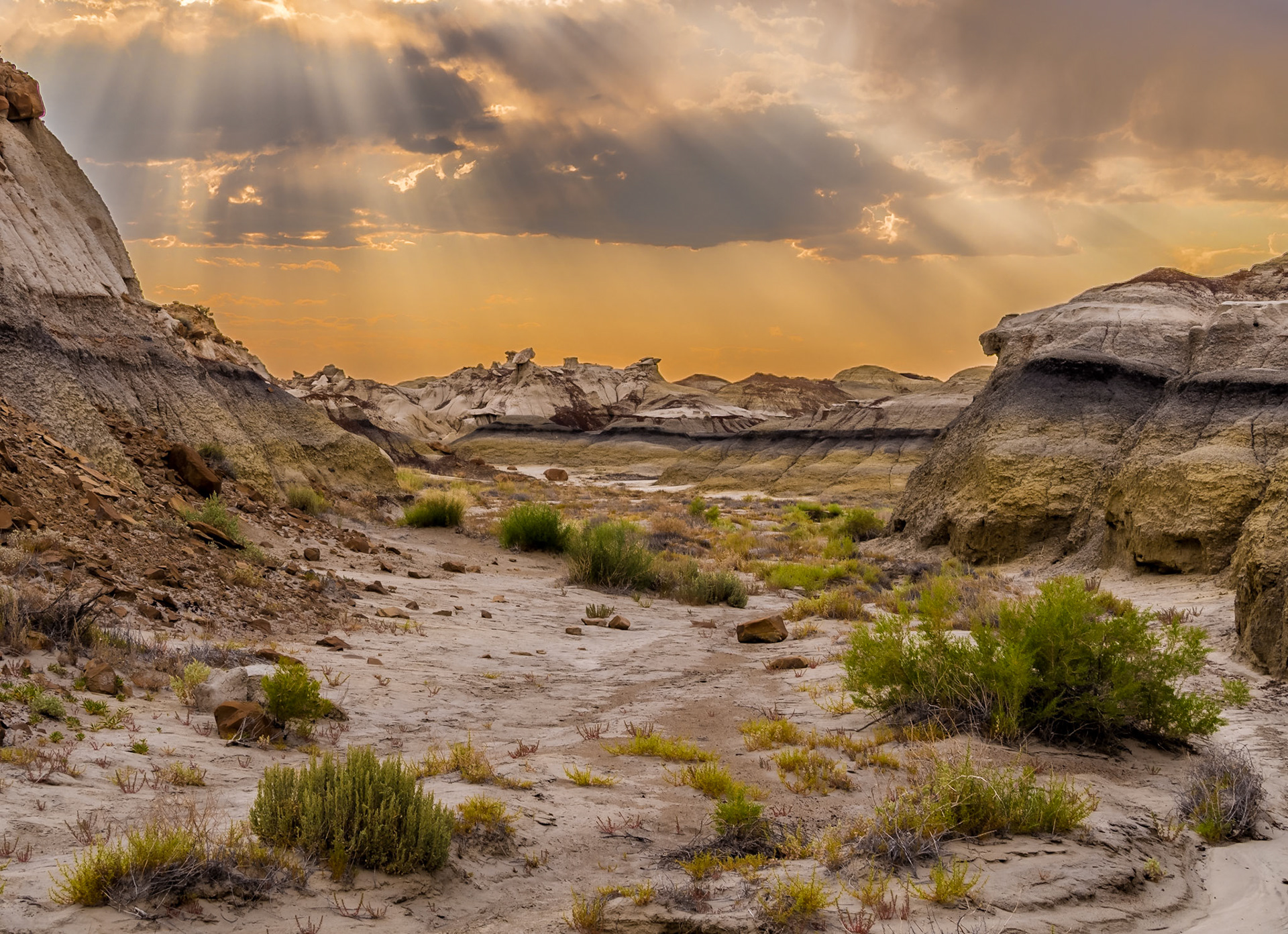 Bisti Badlands, New Mexico