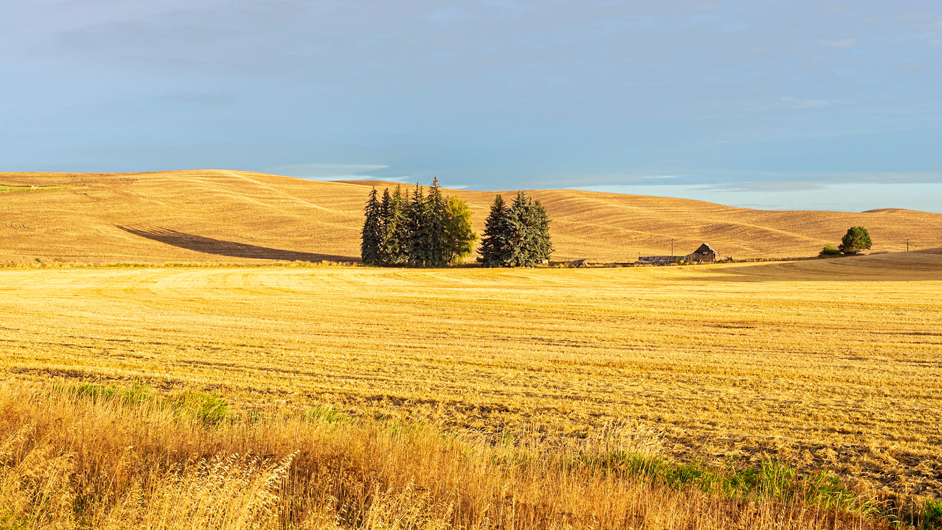Patterns in the wheat fields of the Palouse