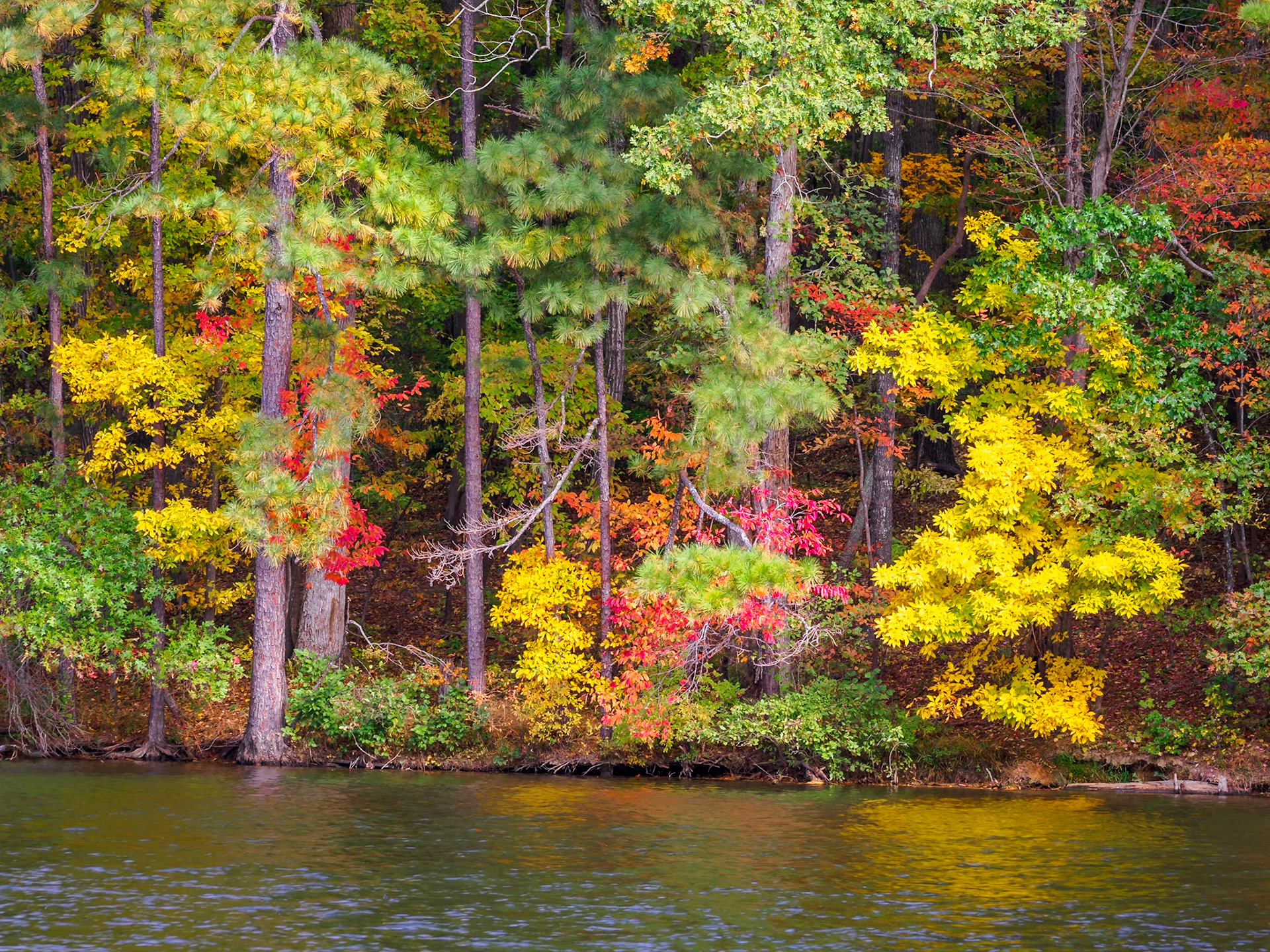 Lake Johnson, Raleigh, NC