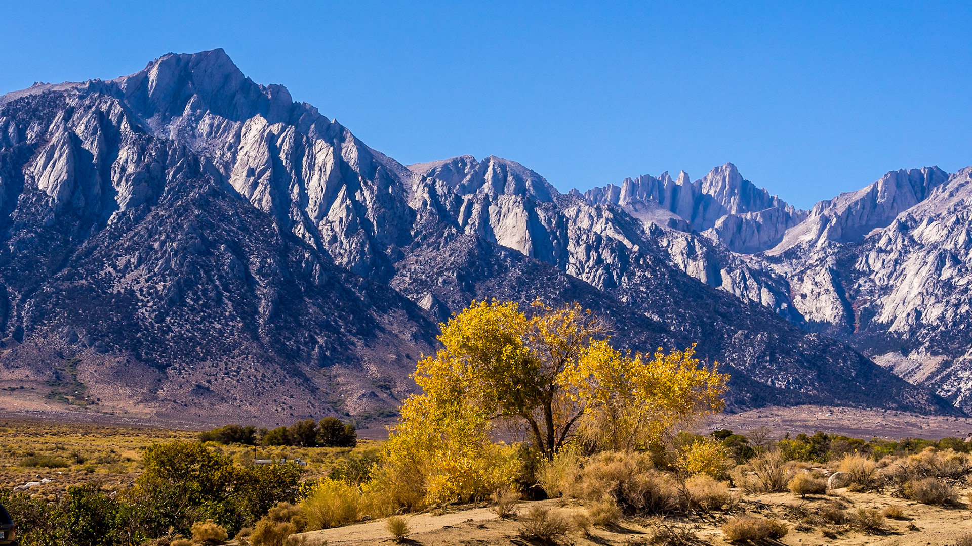 Aspen and Sierra Nevada Range (Mt. Whitney on right)