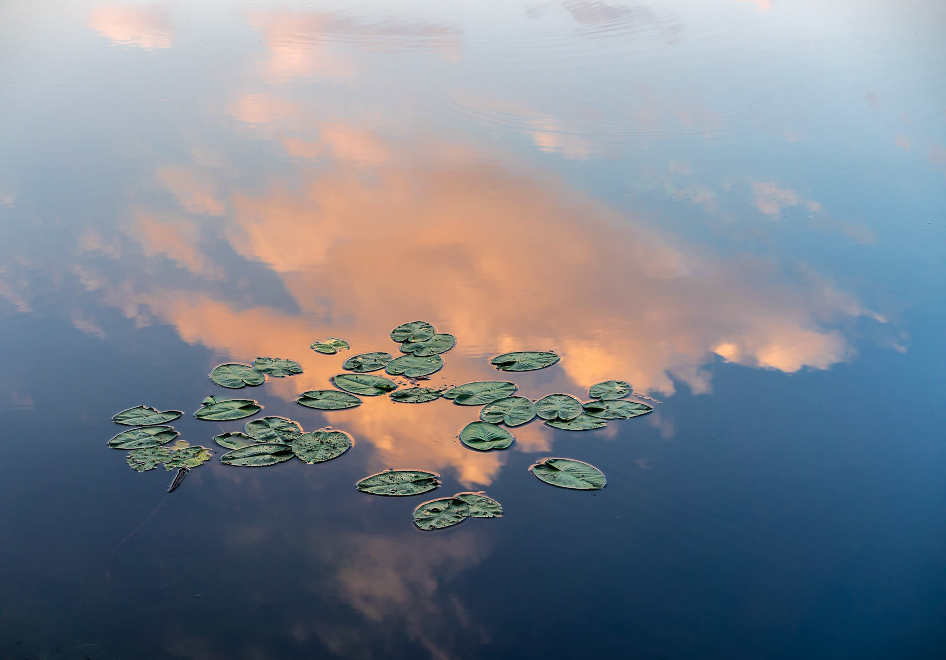 Raleigh, North Carolina