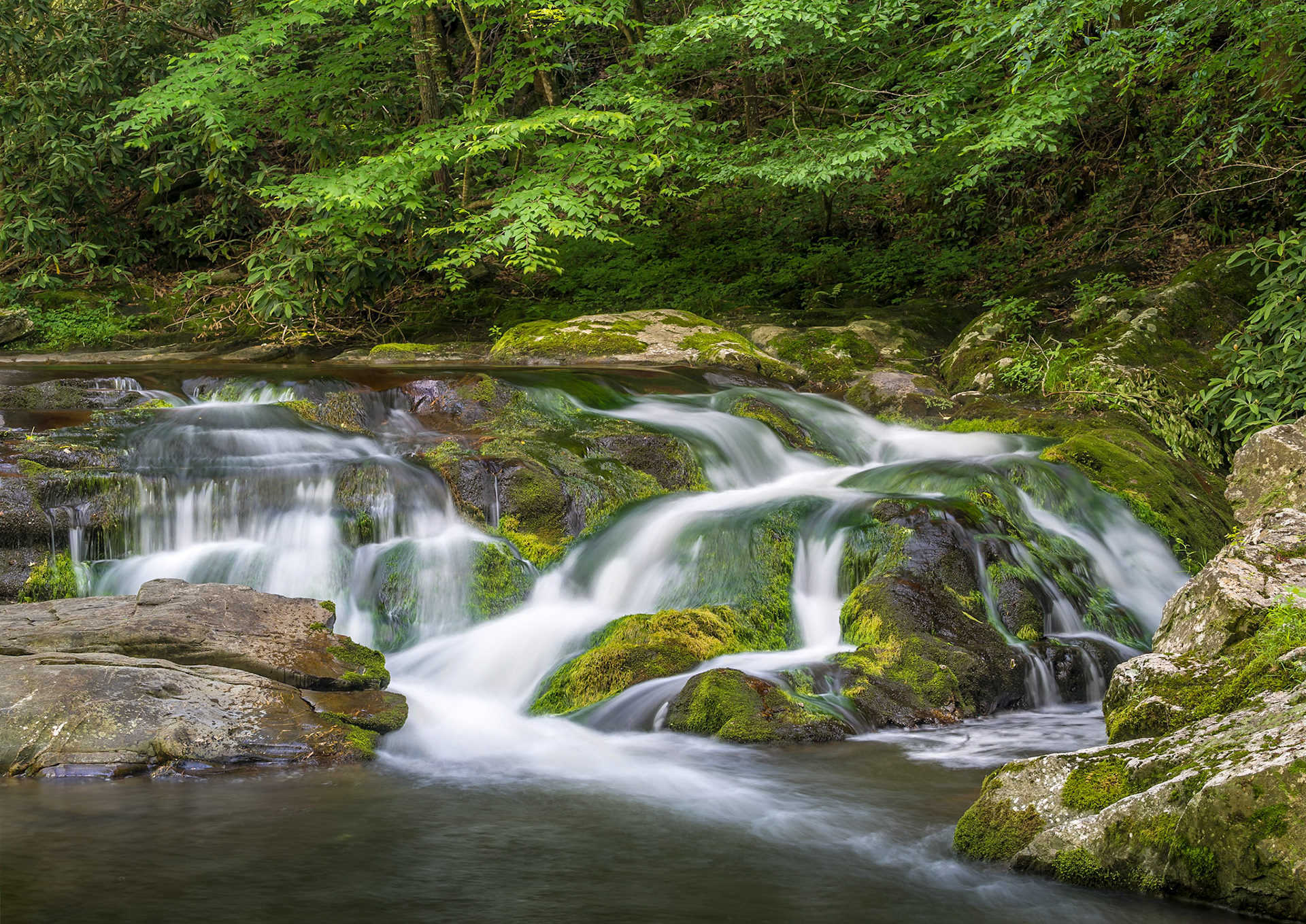 Great Smoky Mountains National Park
