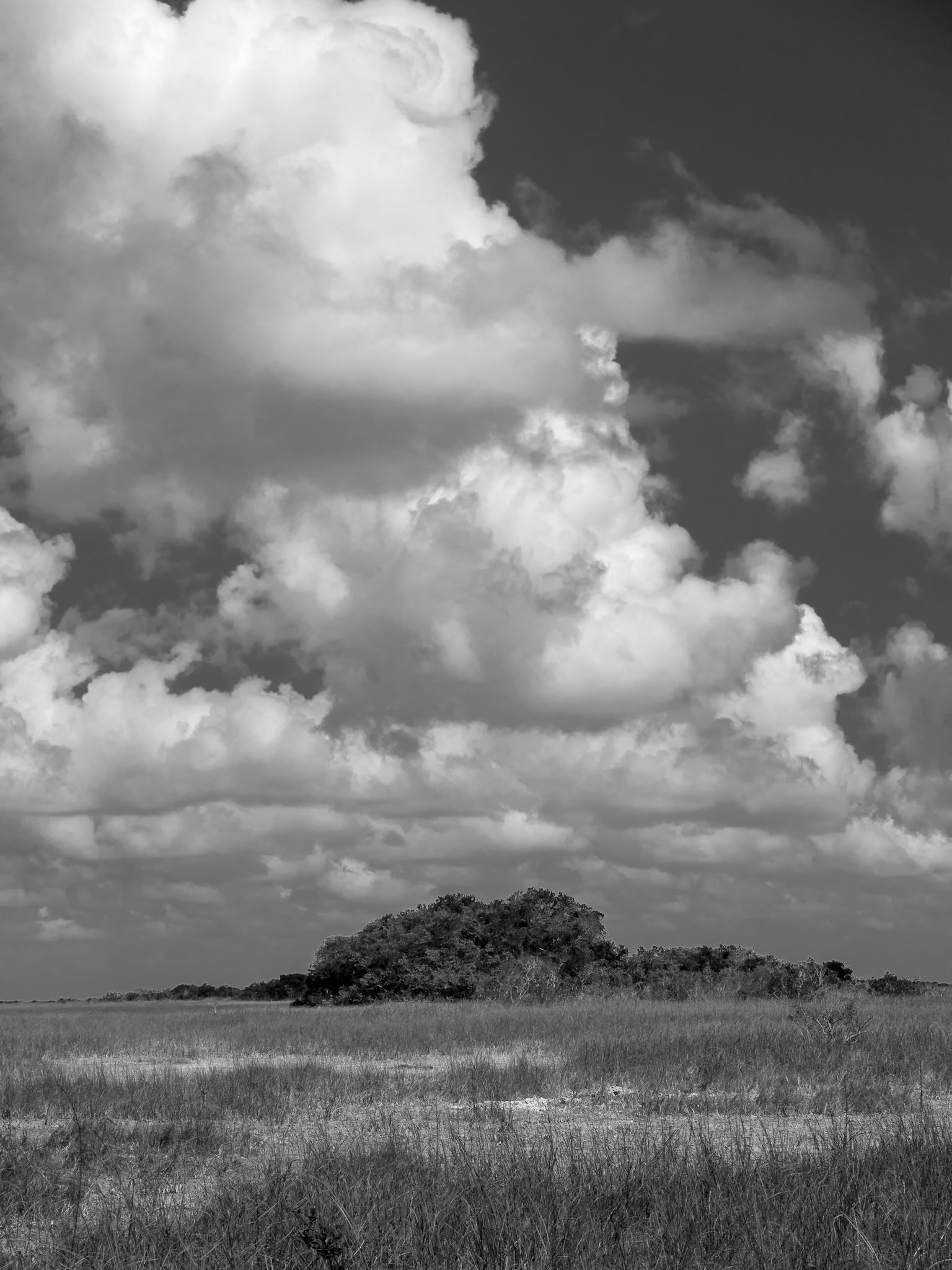 Clouds Over the Everglades