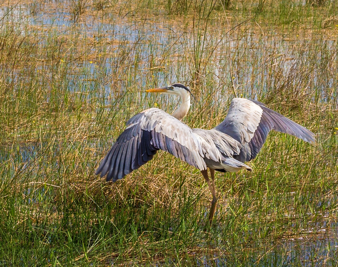 Everglades National Park