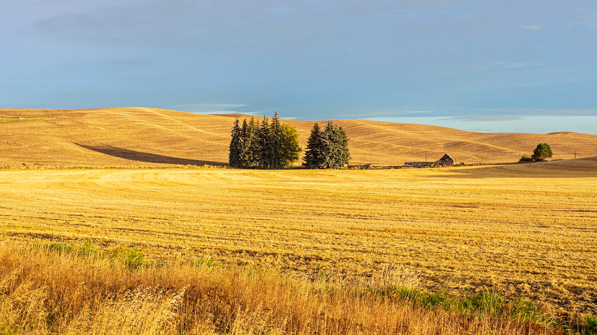 Steptoe, Washington