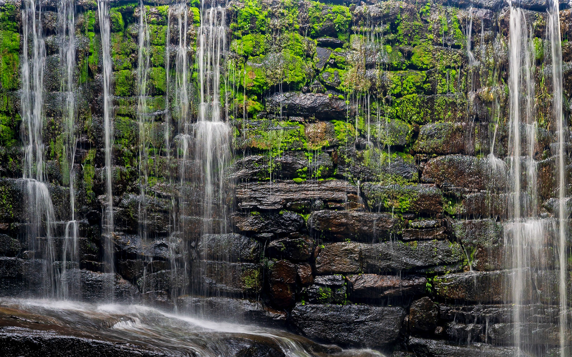 Raleigh, North Carolina