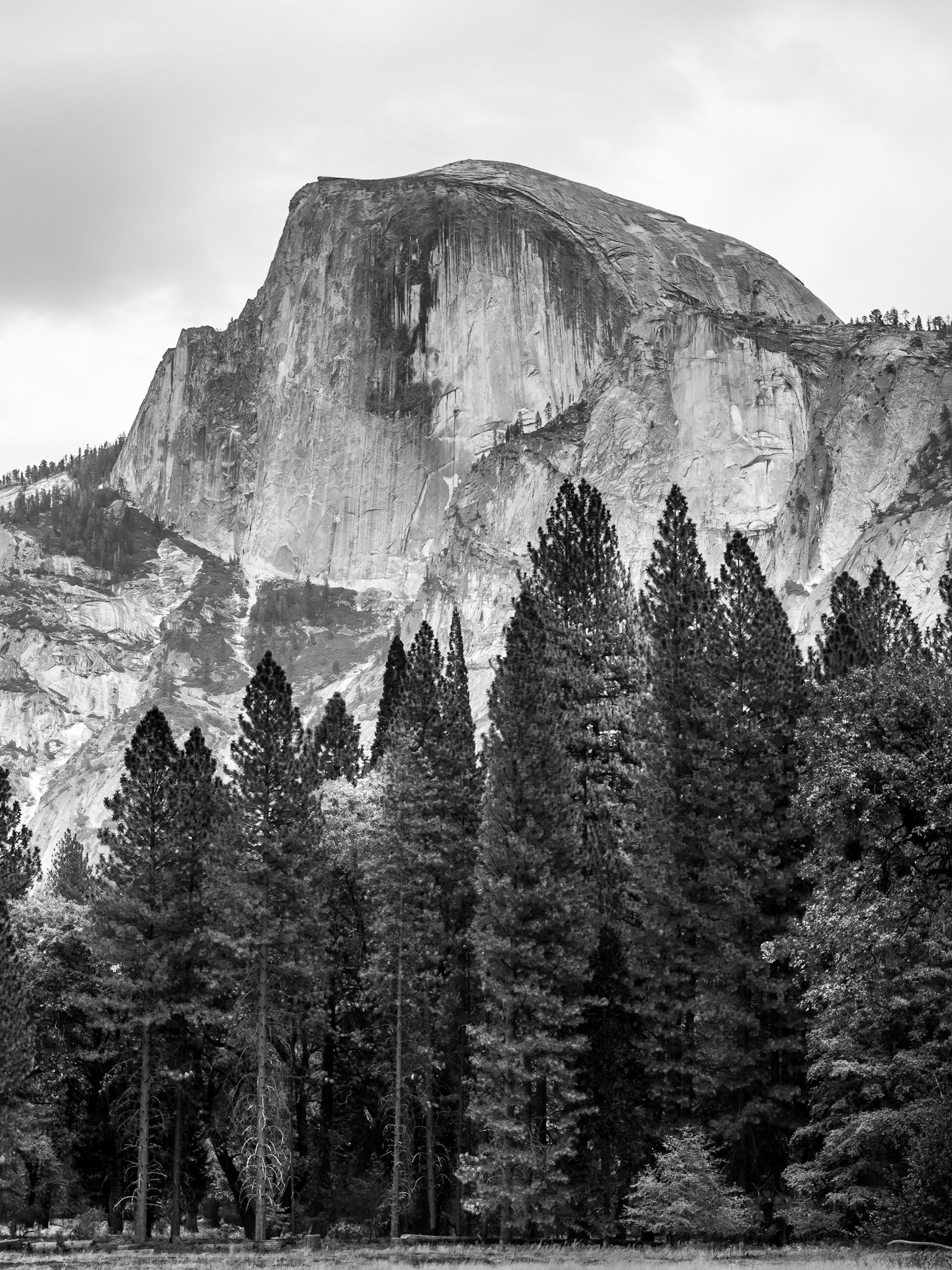 Yosemite National Park