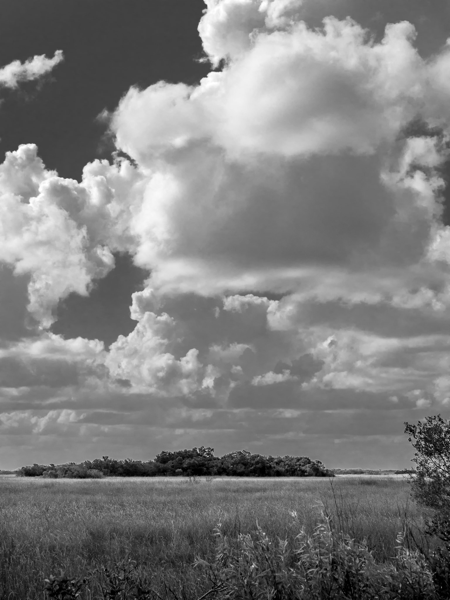 Clouds Over the Everglades