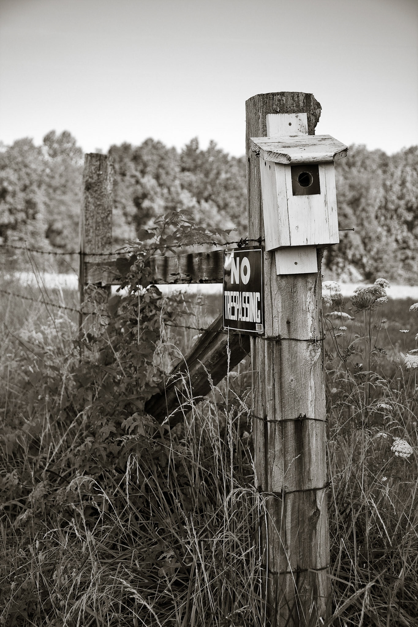 Fencepost Birdhouse