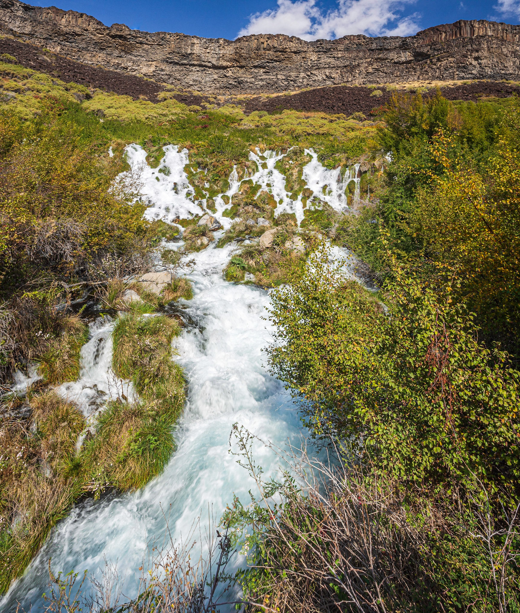 Niagara Springs