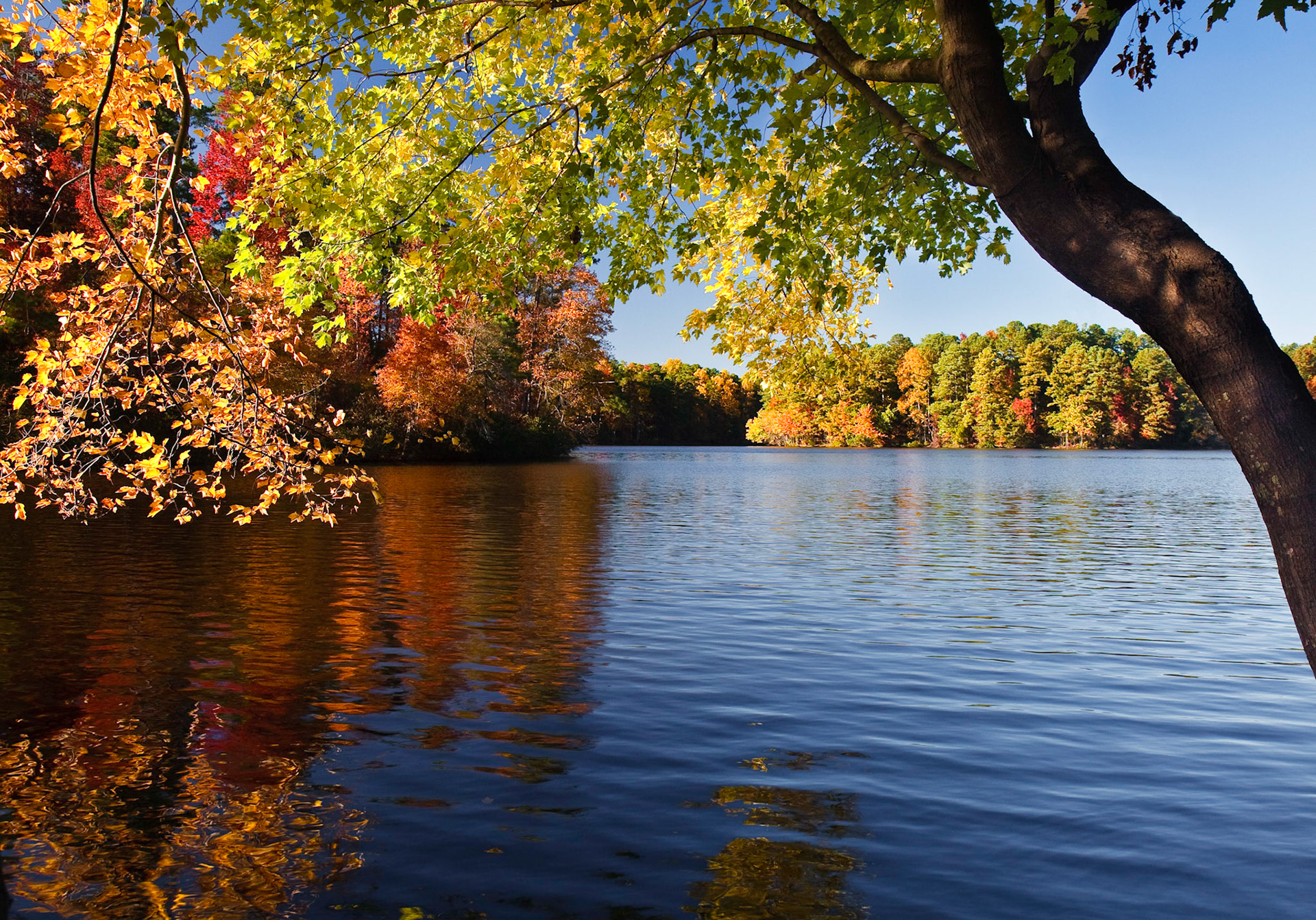 Raleigh, North Carolina