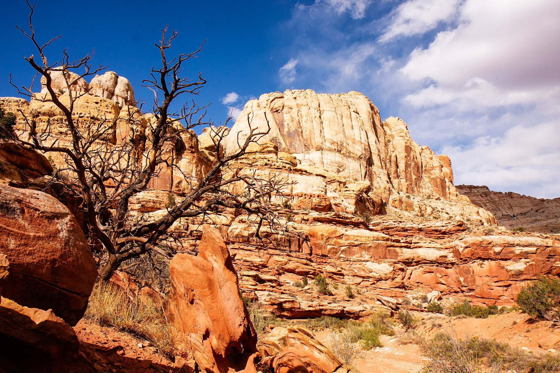 Capitol Reef National Park