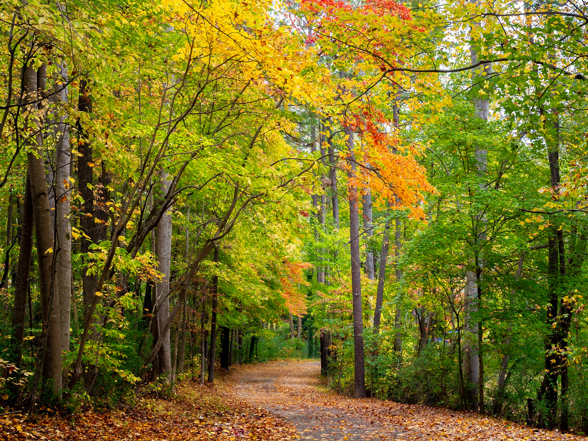 Raleigh, North Carolina