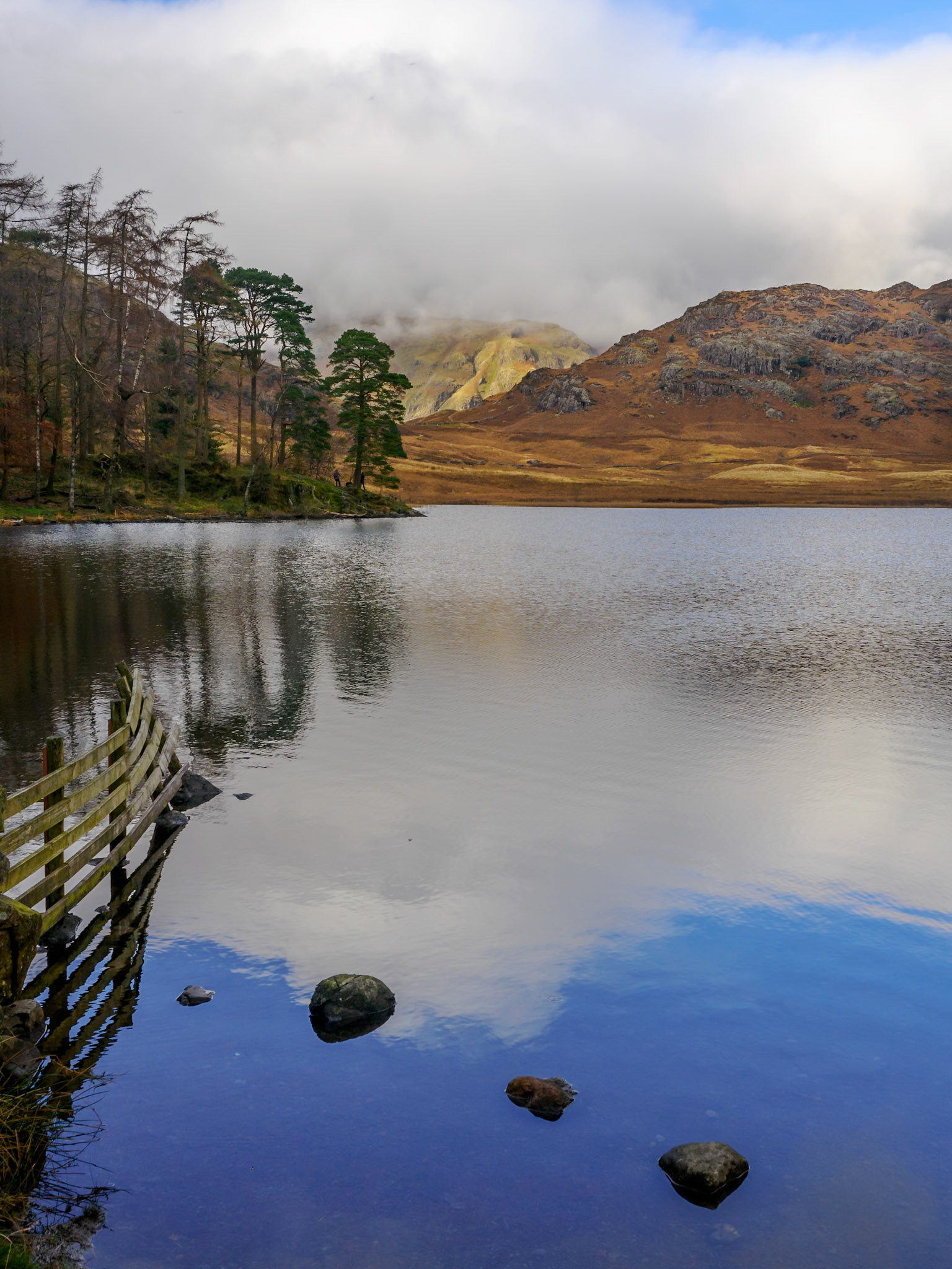 Blea Tarn-Lingmoor Fell-Side Pike hike