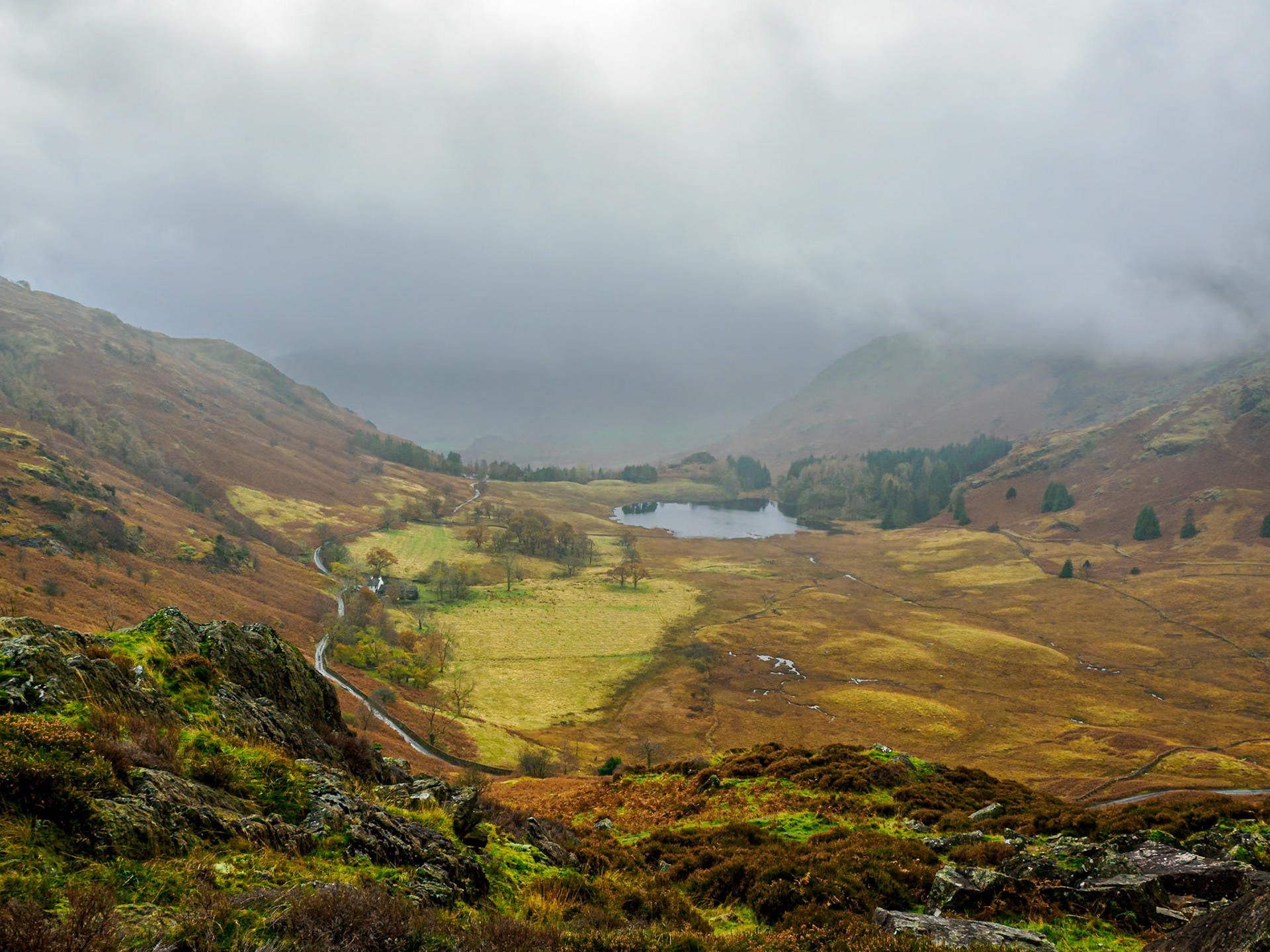 Blea Tarn-Lingmoor Fell-Side Pike hike