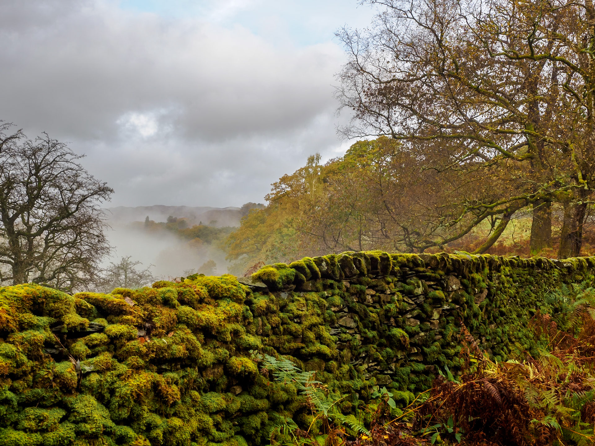 Loughrigg Fell