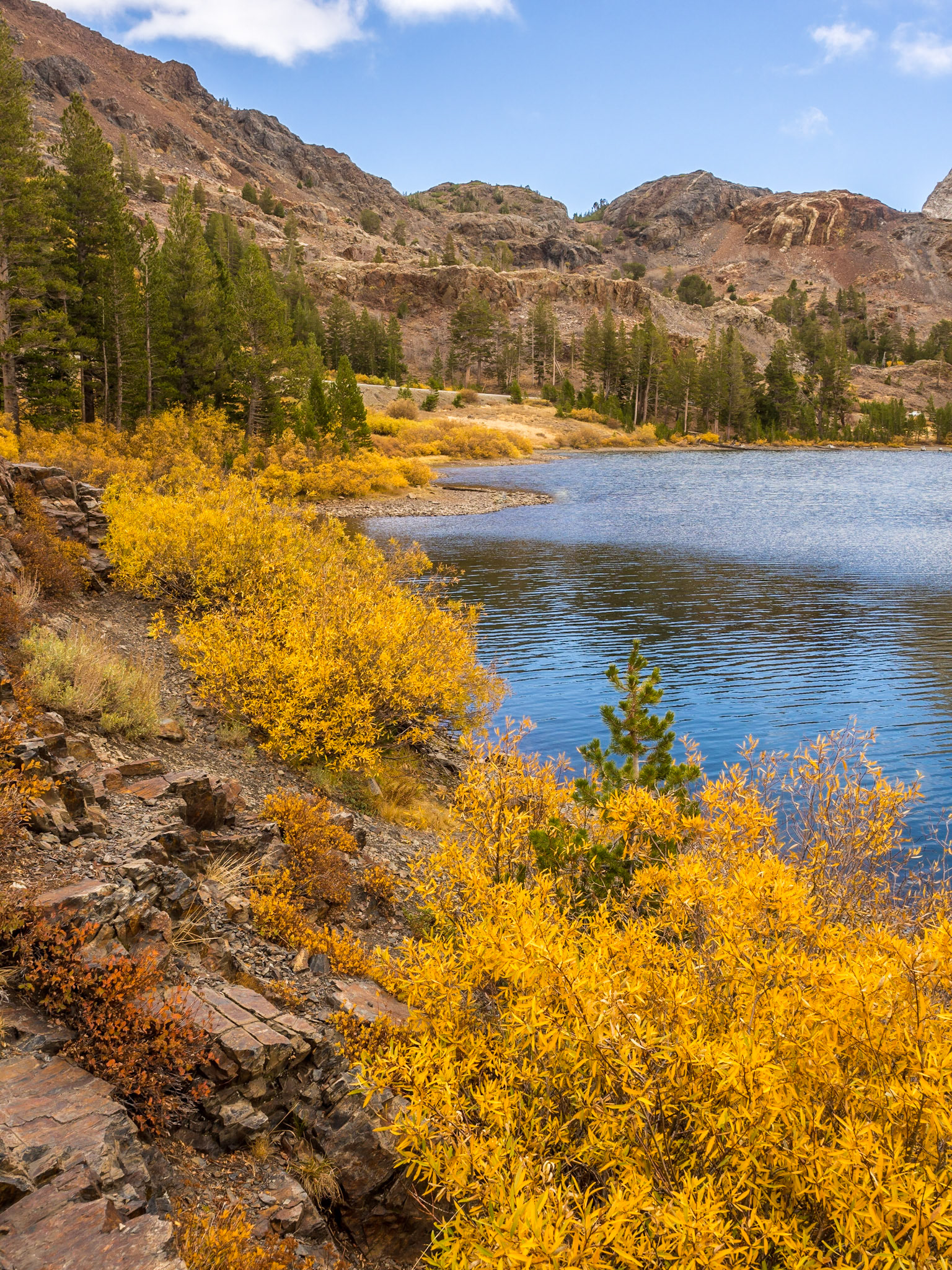 The colorful shores of Lake Elerbee