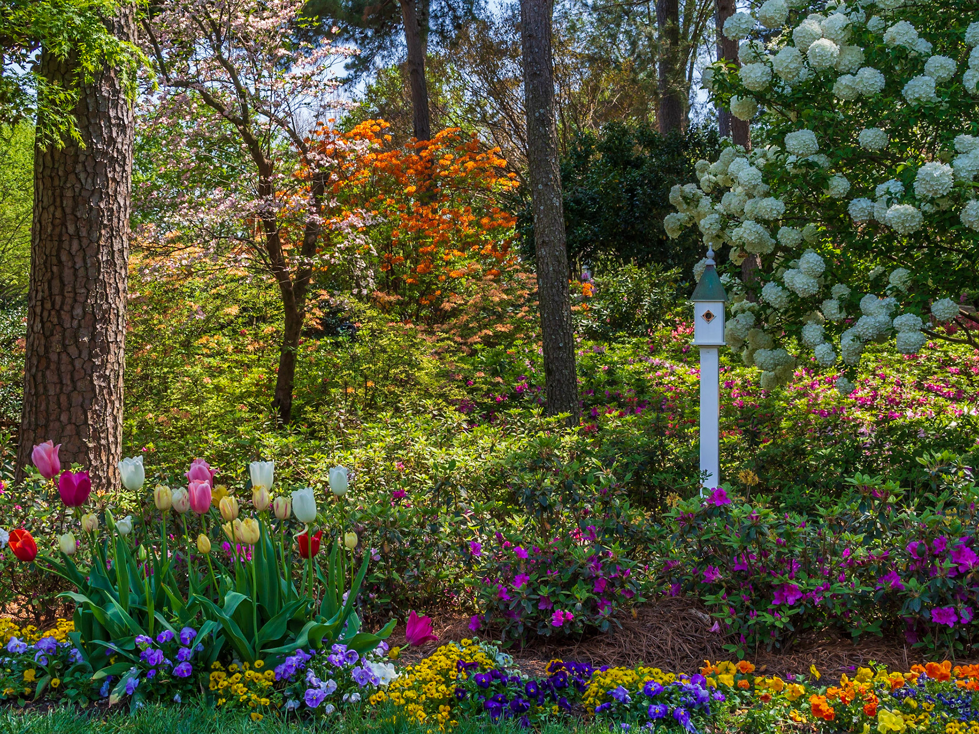 WRAL Gardens, Raleigh, North Carolina