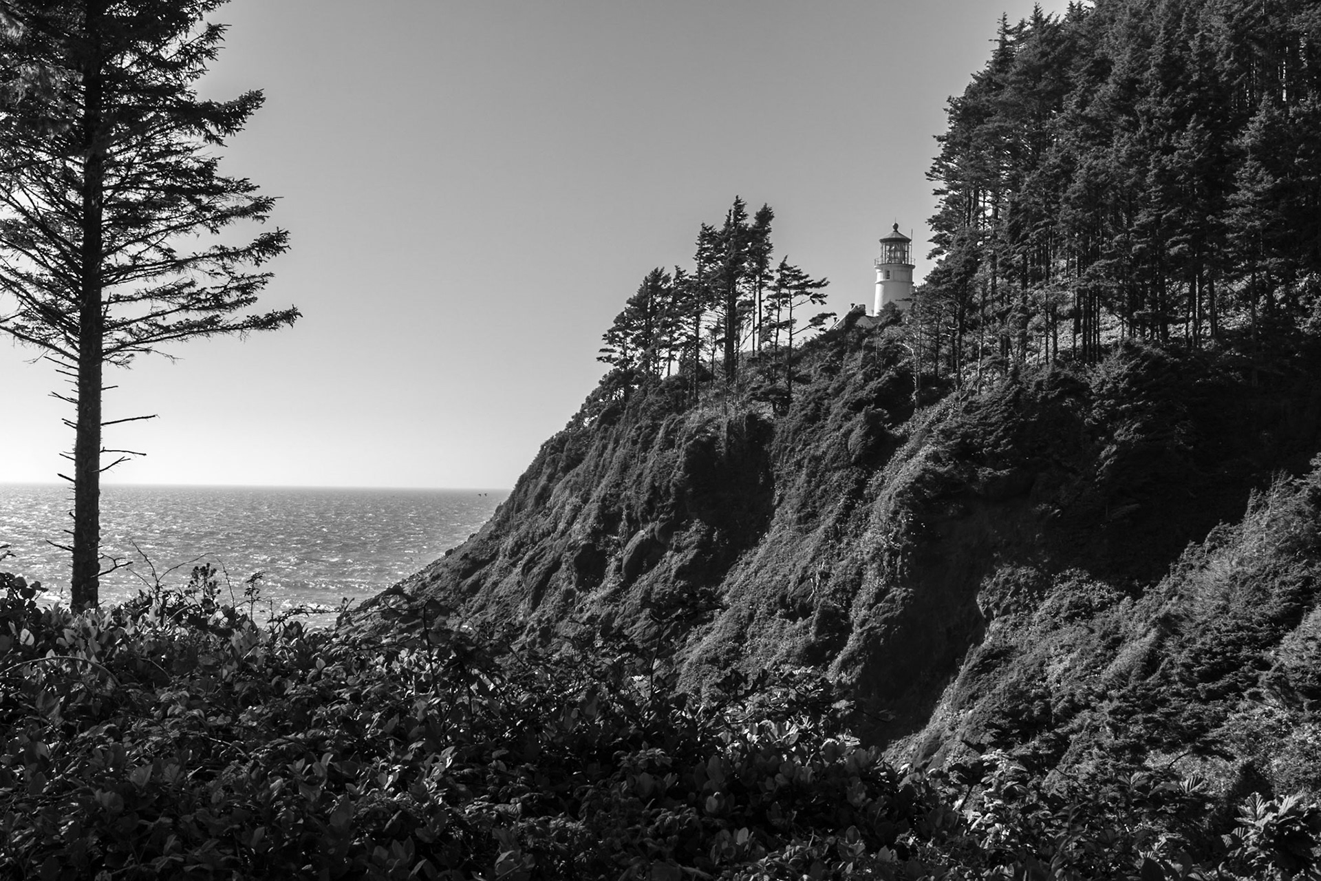 Heceta Head Lighthouse