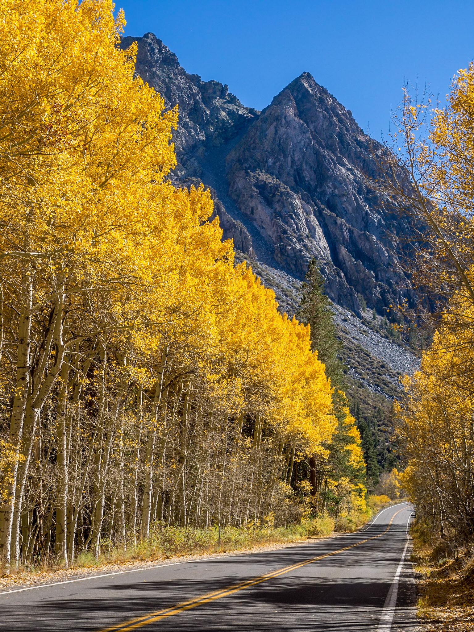 On June Lake Loop