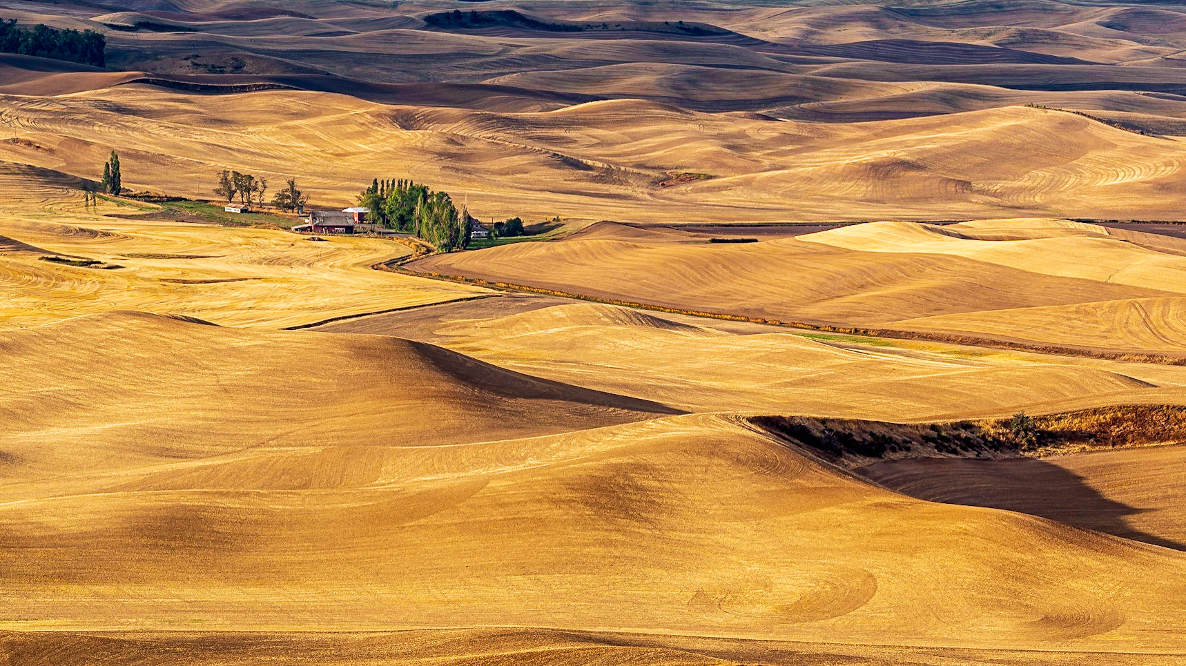 Steptoe Butte State Park, Washington