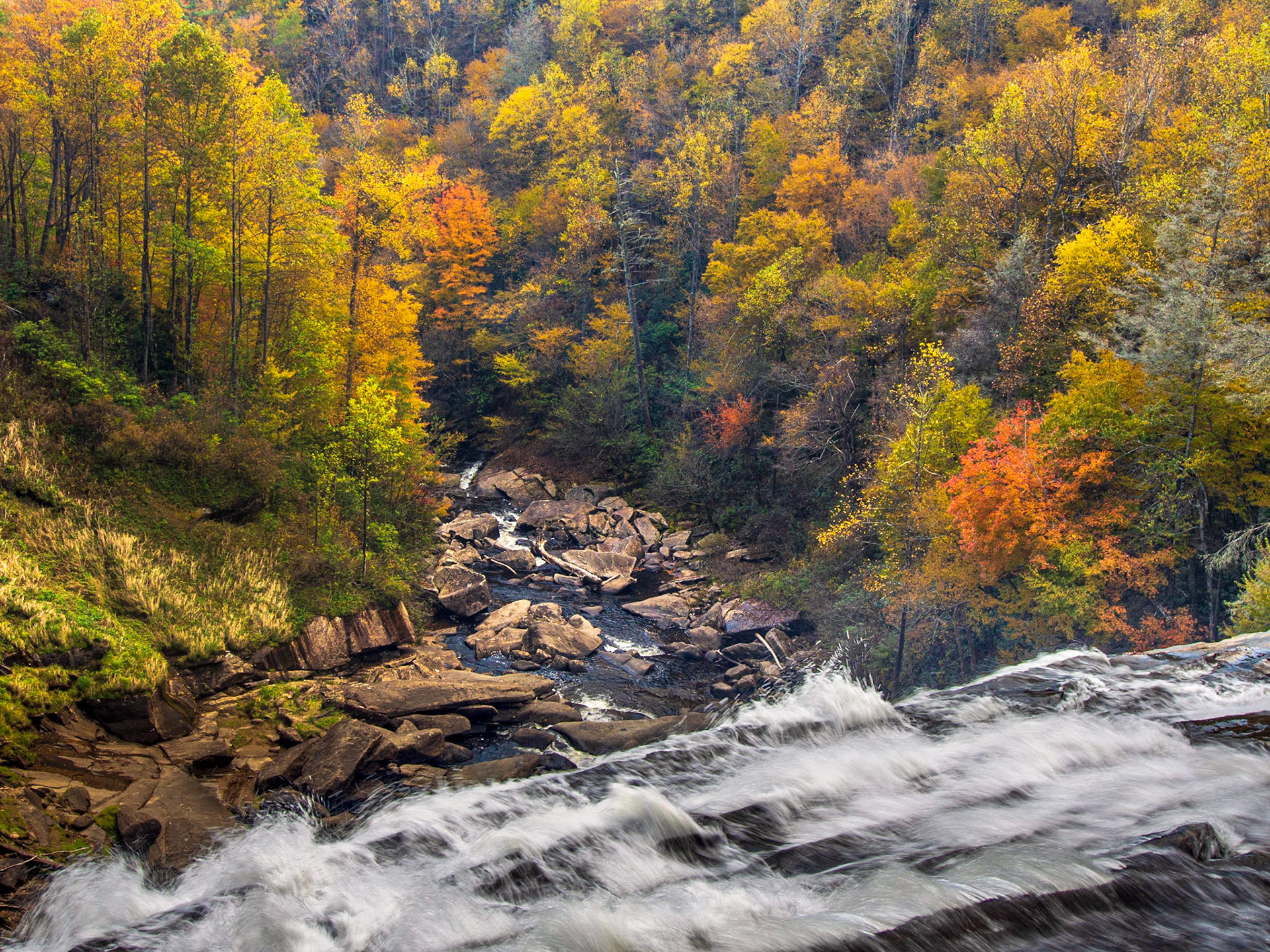 Gorges State Park, North Carolina