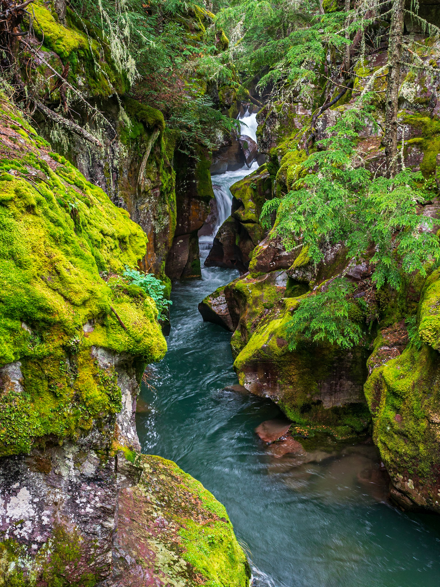 Avalanche Creek Gorge