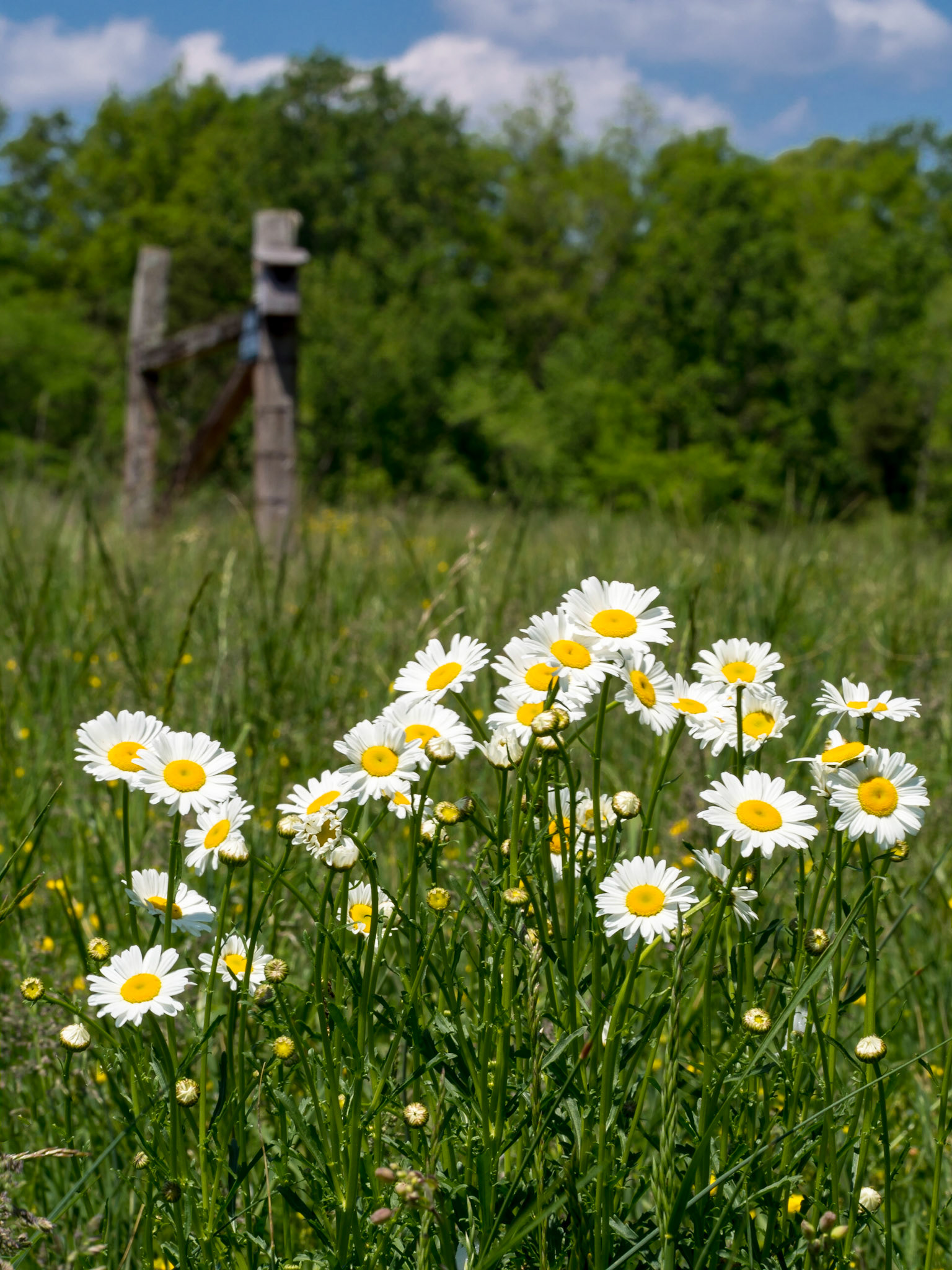 Chase City, Virginia