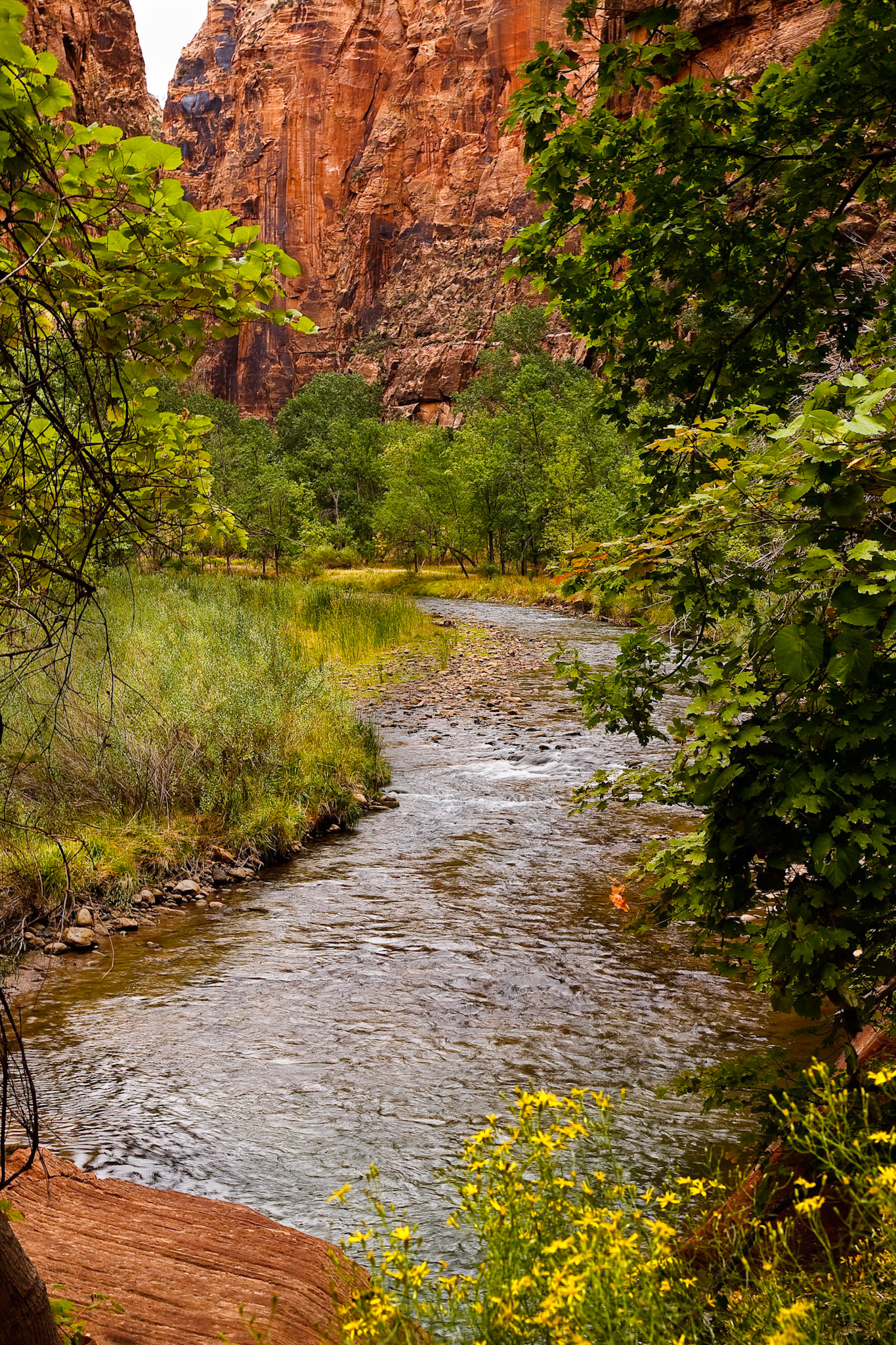 Zion National Park
