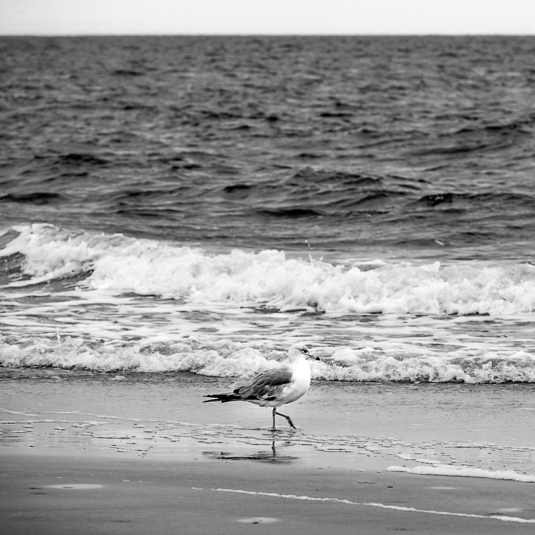 Searching for New Thought