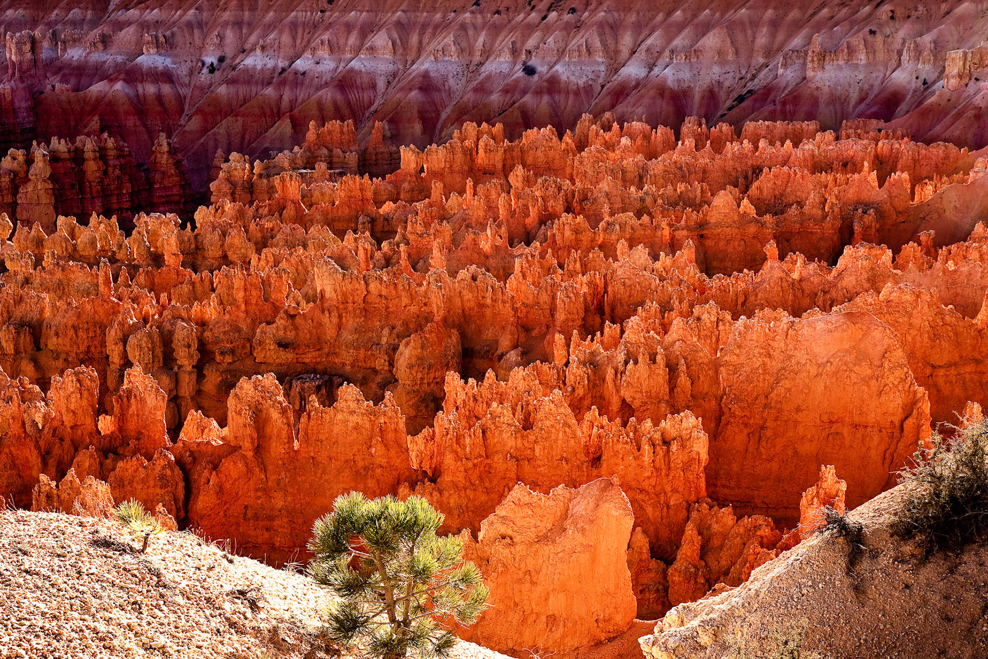 Bryce Canyon National Park