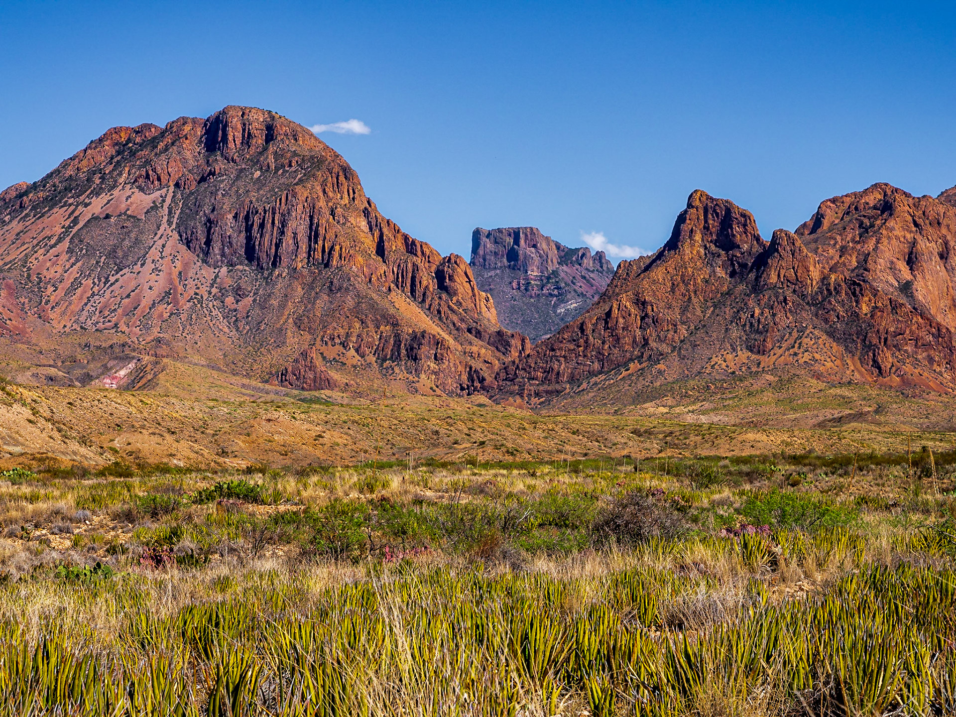 Big Bend National Park, Texas