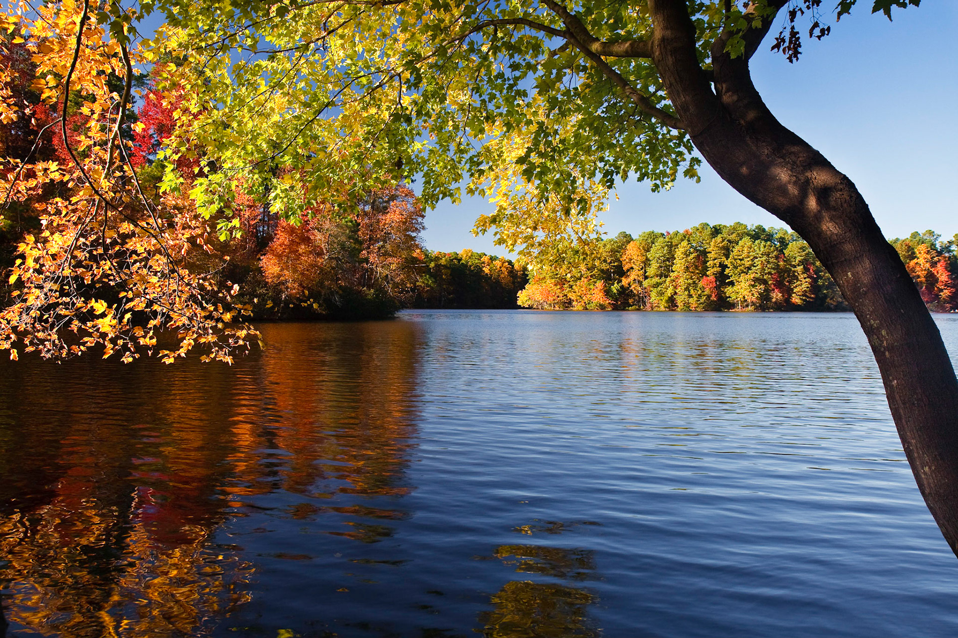 © Copyright 2008 Dan Roeder. All rights reserved.