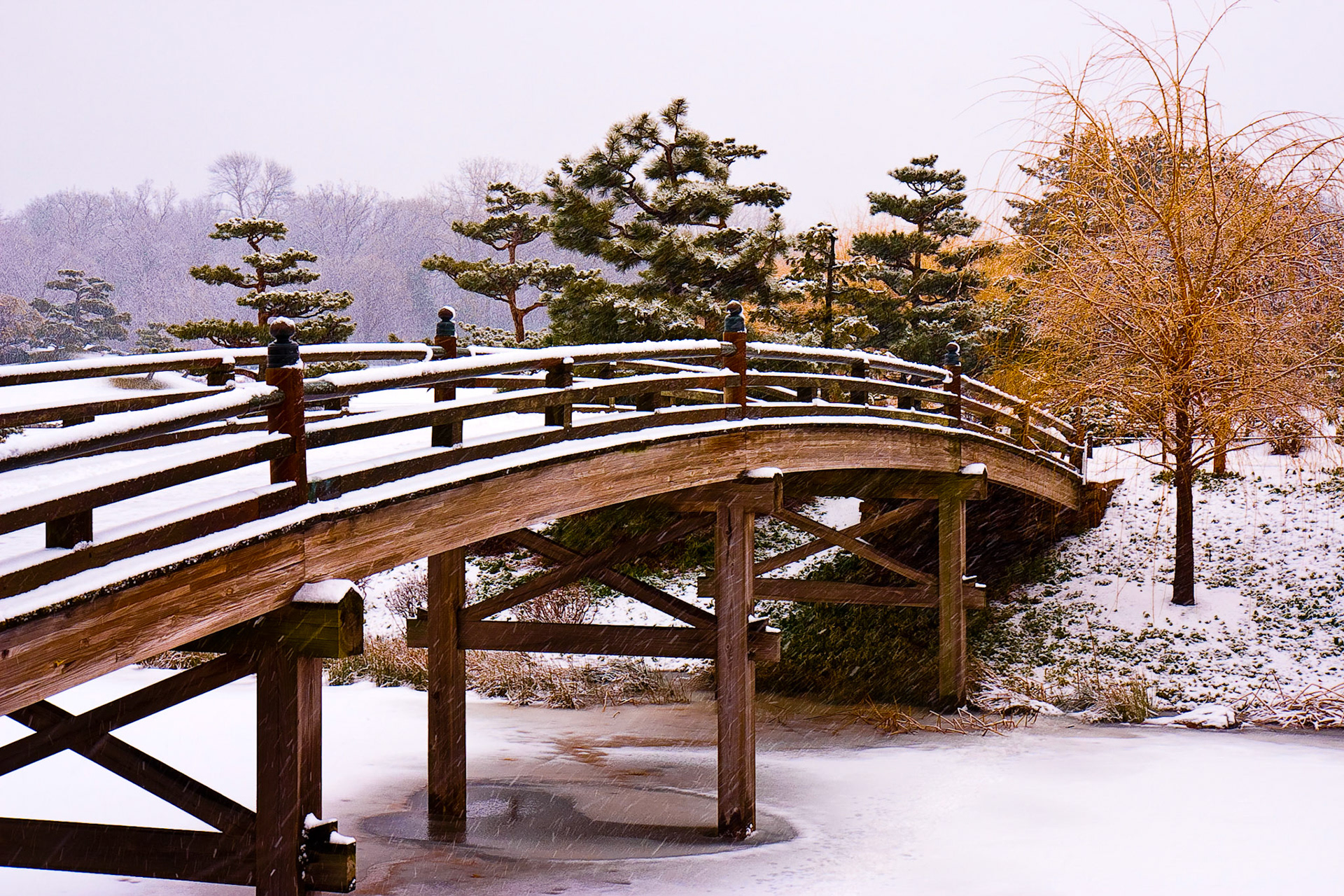 Chicago Botanic Garden, Illinois